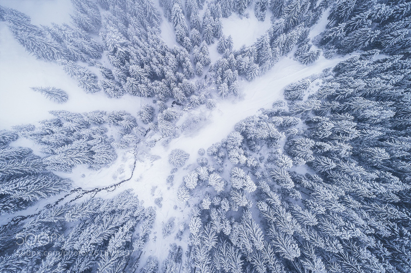 DJI FC6310 sample photo. Winter mood photography