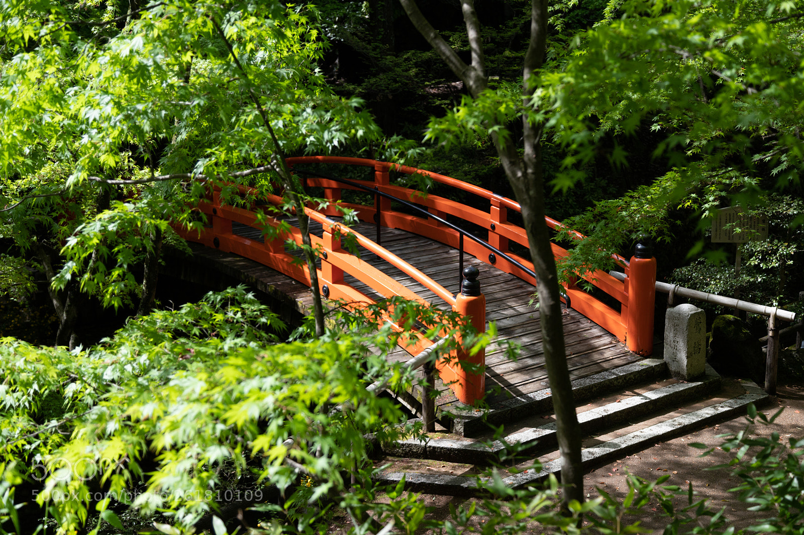 Canon EOS 6D Mark II sample photo. 北野天満宮の青もみじ photography