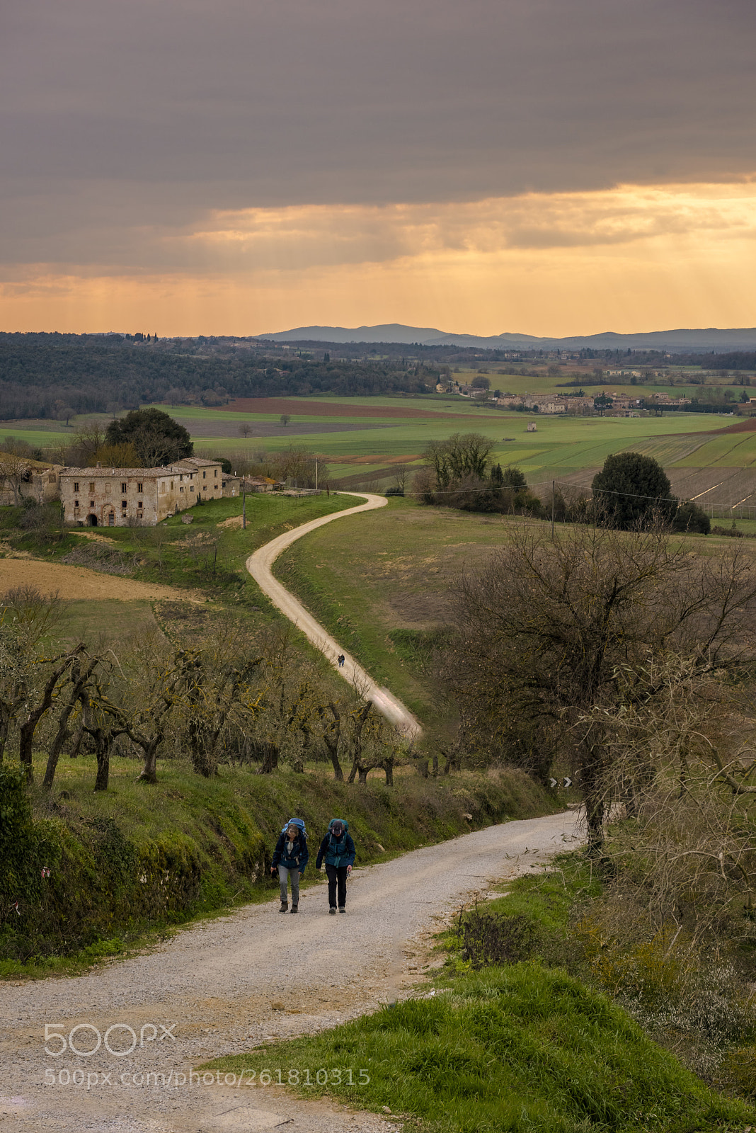 Nikon D810 sample photo. Chianti at sunset photography