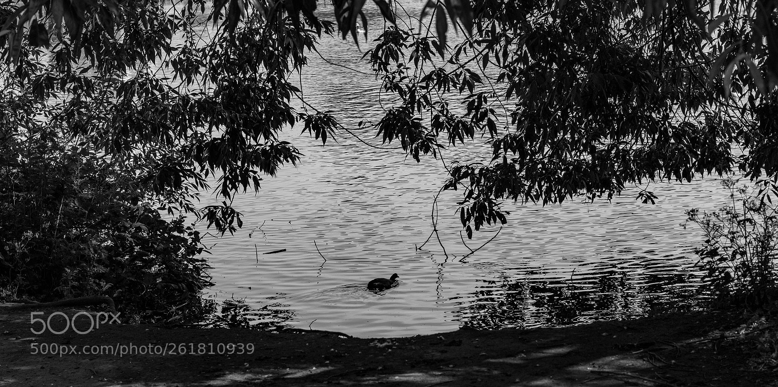 Canon EOS 70D sample photo. A lake photography
