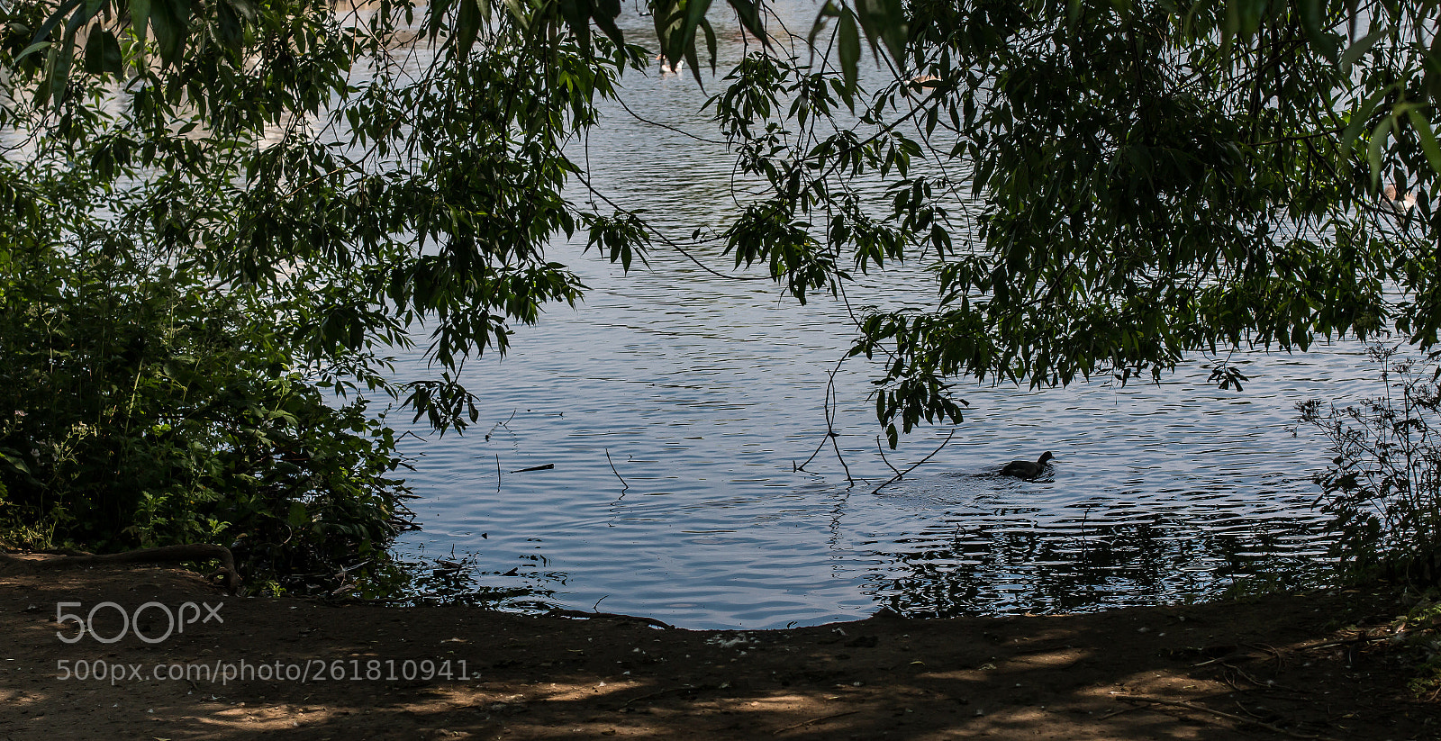 Canon EOS 70D sample photo. A lake photography