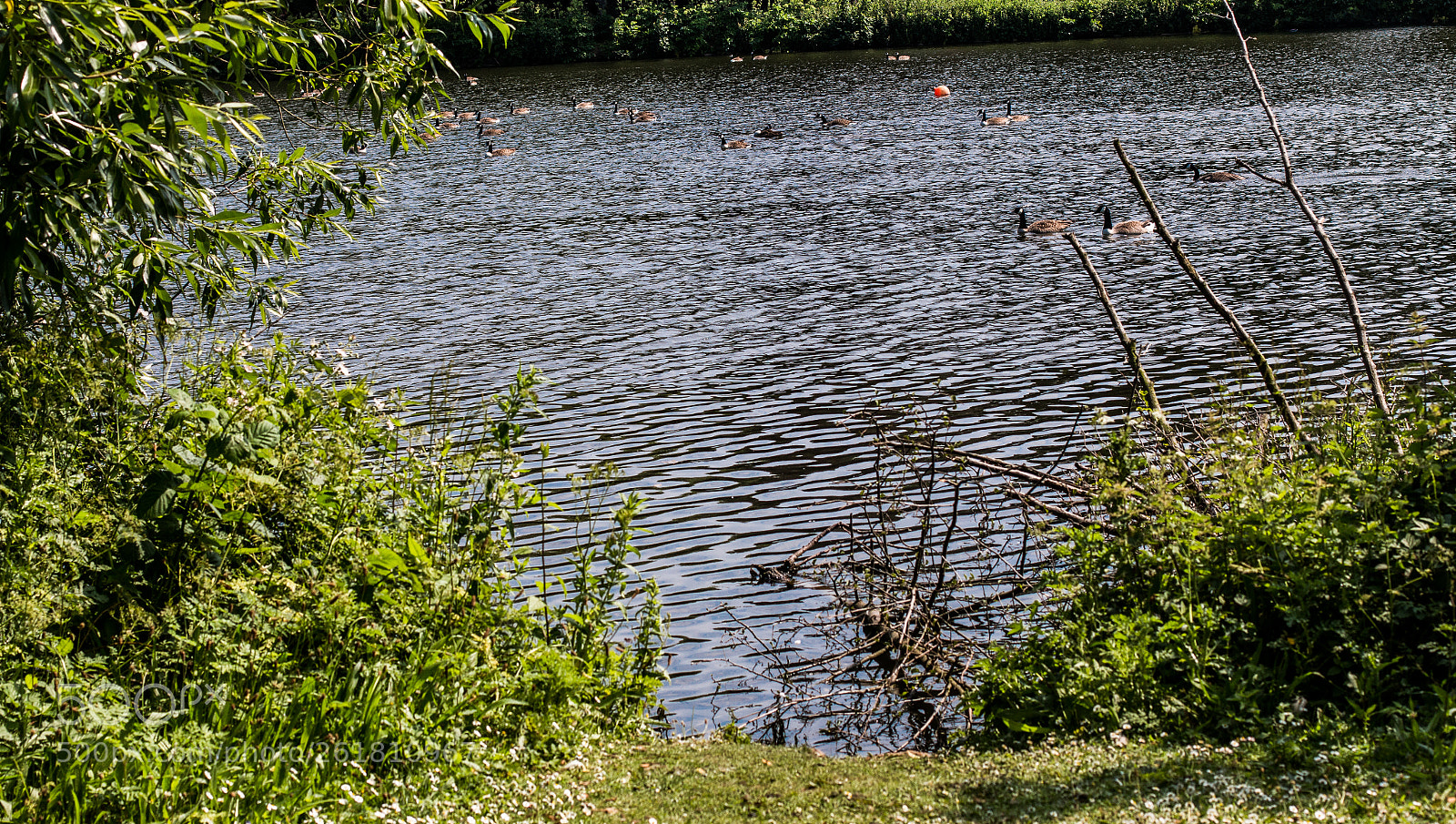 Canon EOS 70D sample photo. A lake photography