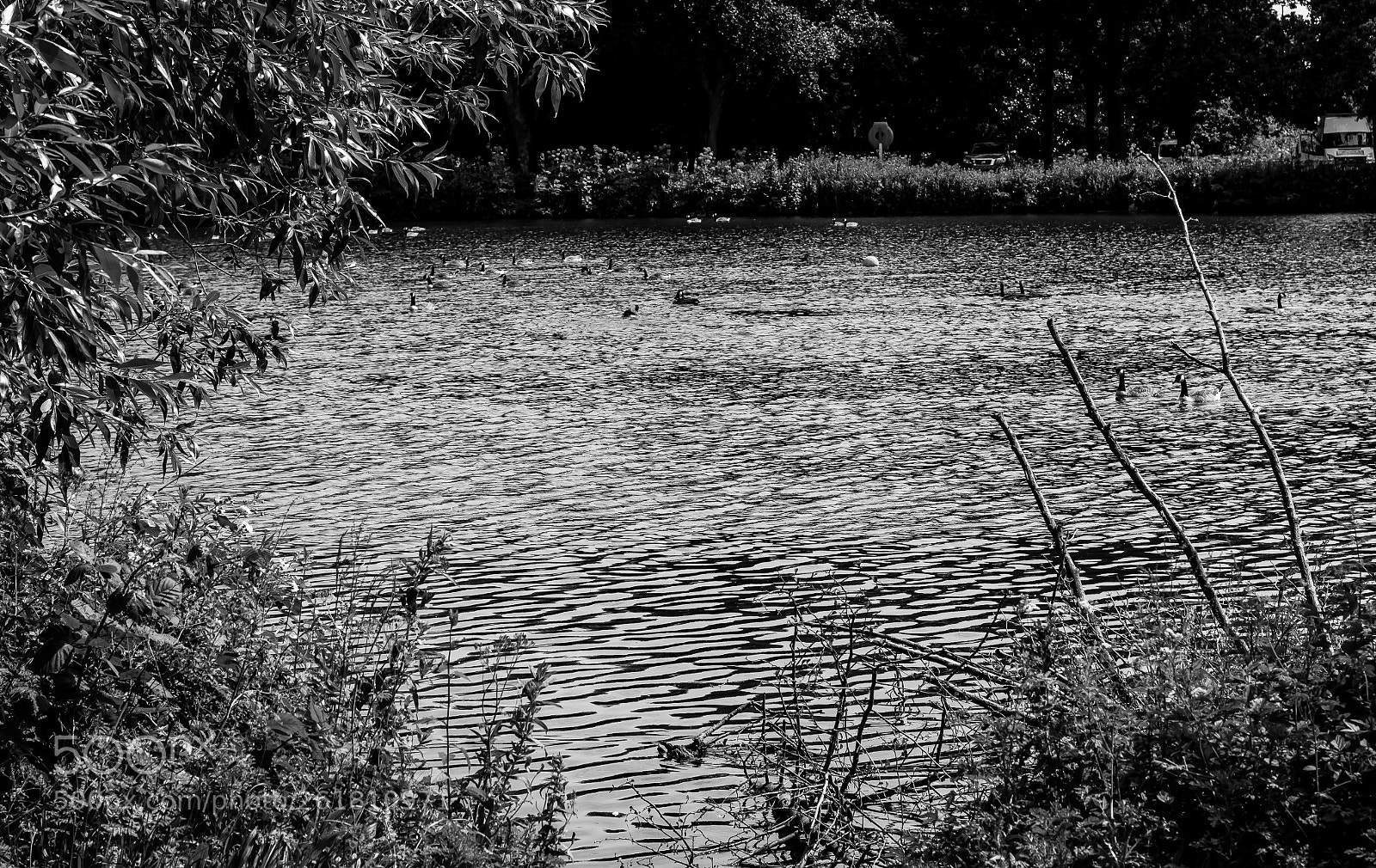 Canon EOS 70D sample photo. A lake photography