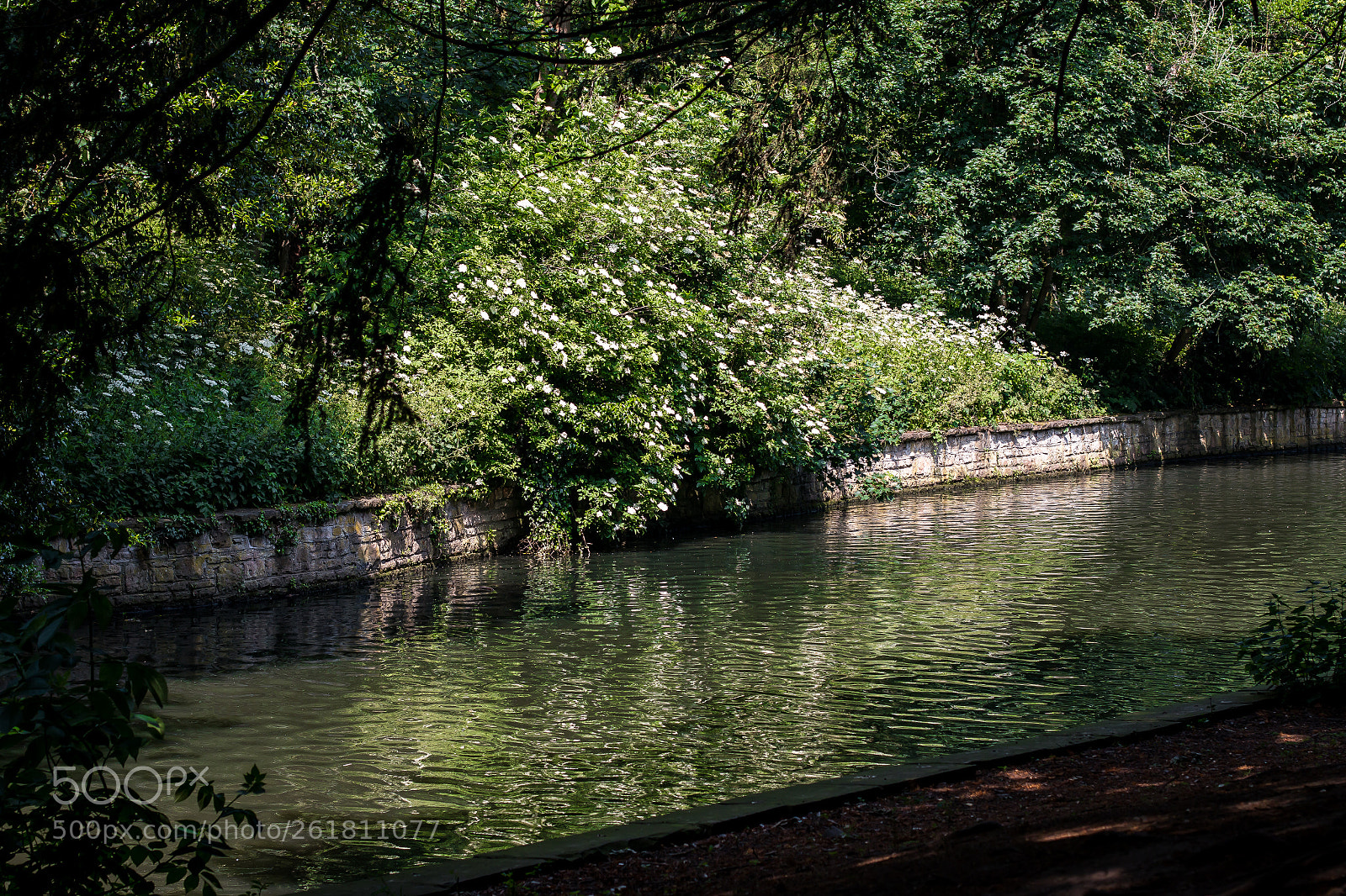 Canon EOS 70D sample photo. A small lake photography