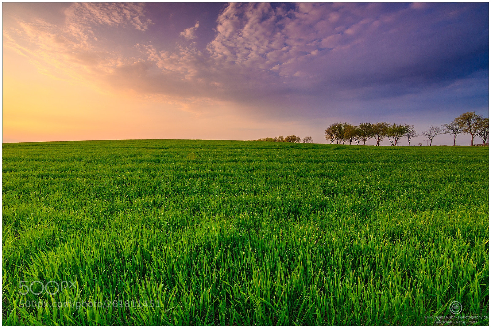 Canon EOS 760D (EOS Rebel T6s / EOS 8000D) sample photo. Clouds over the field photography