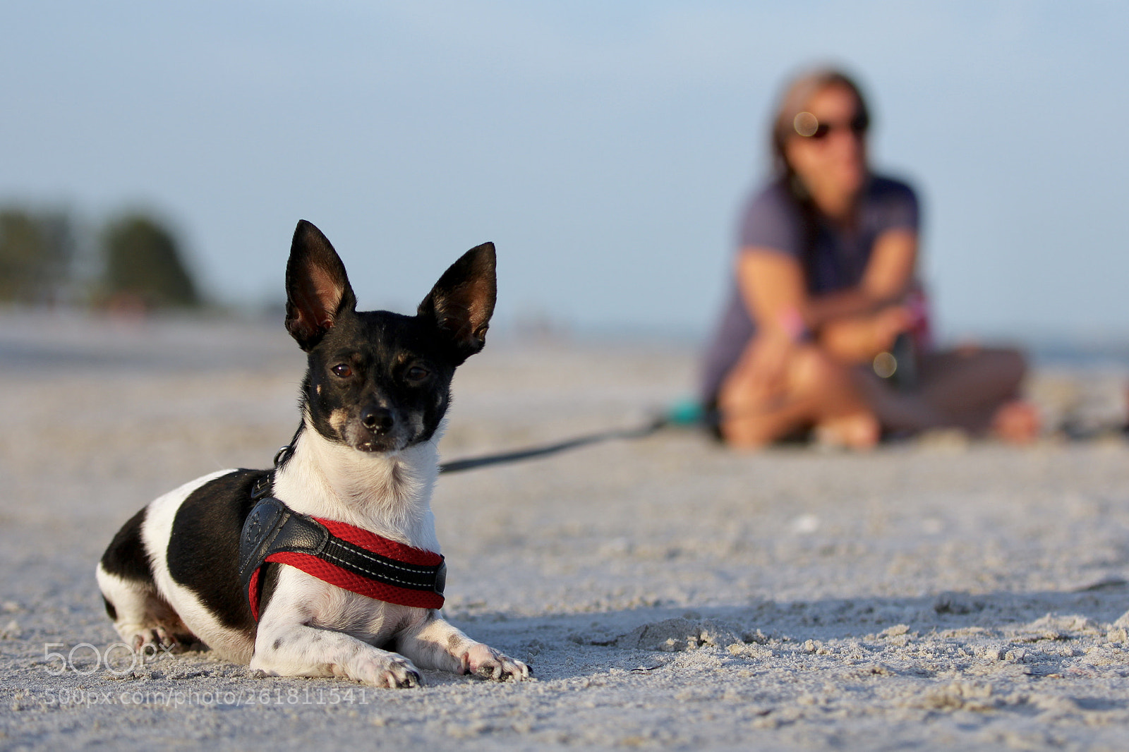 Canon EOS 60D sample photo. Family photography