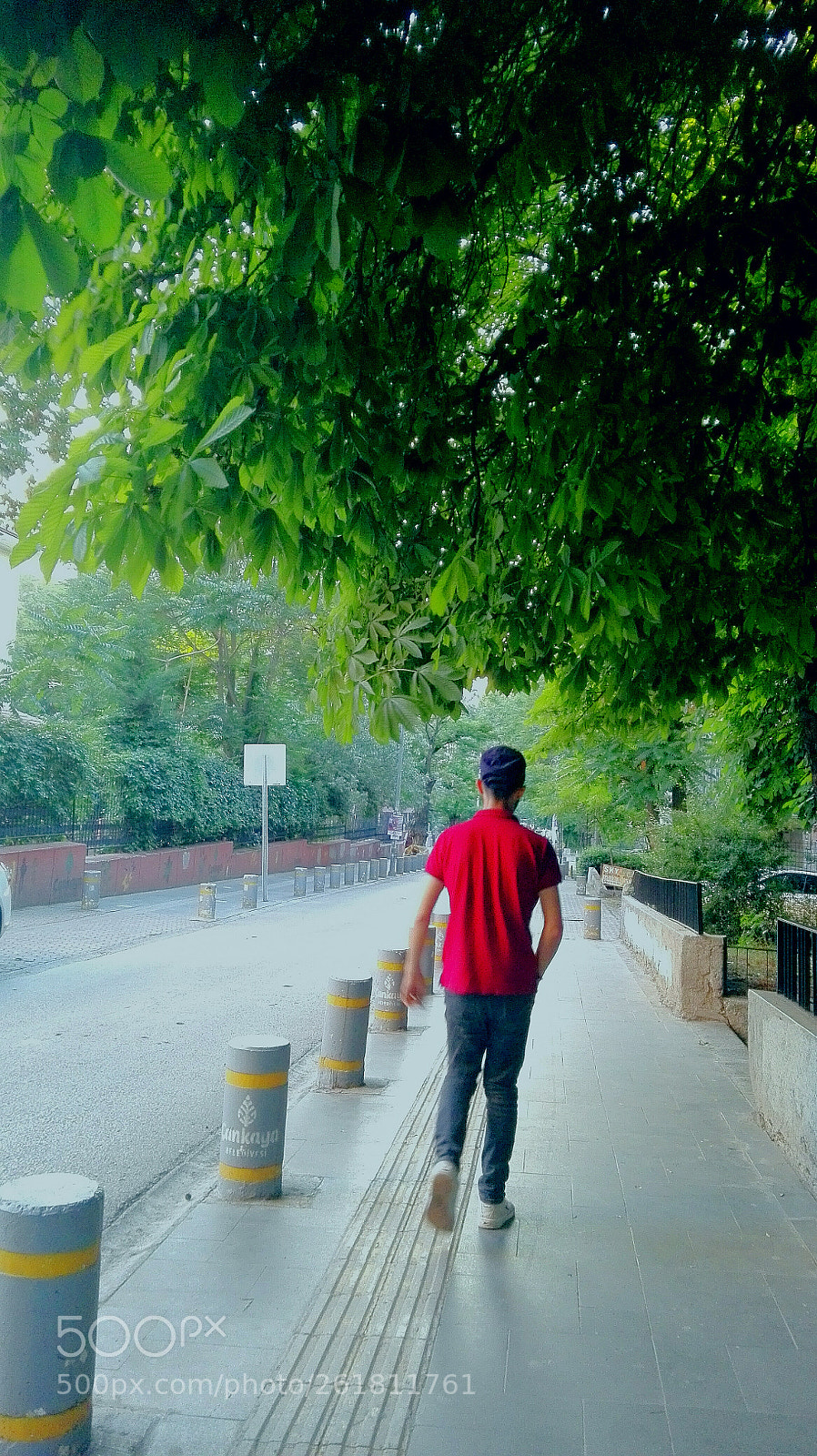 HUAWEI P8 Lite sample photo. Red on grey under photography