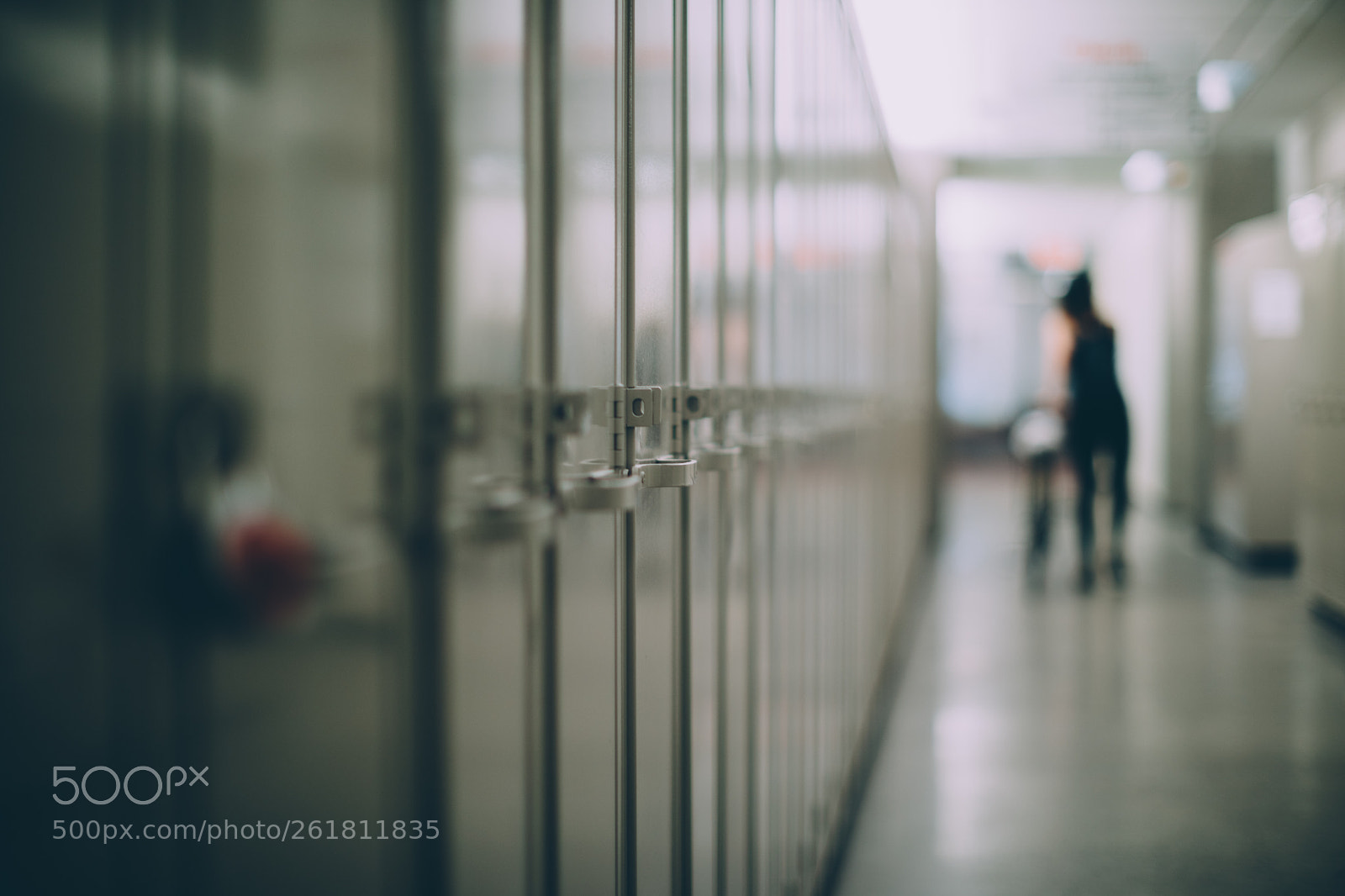 Canon EOS 5D Mark IV sample photo. Lockers photography