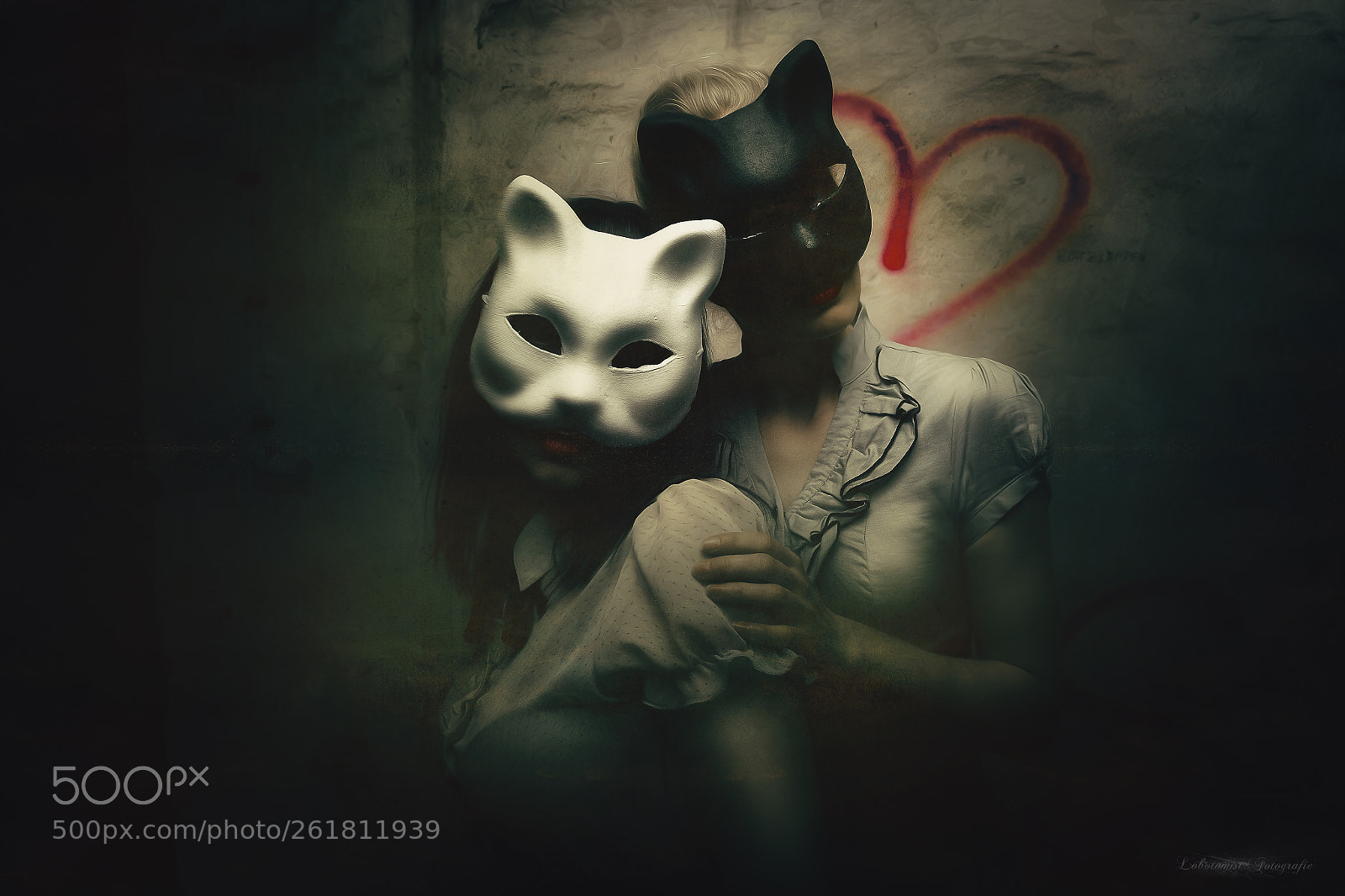 Canon EOS 6D sample photo. Kittens photography
