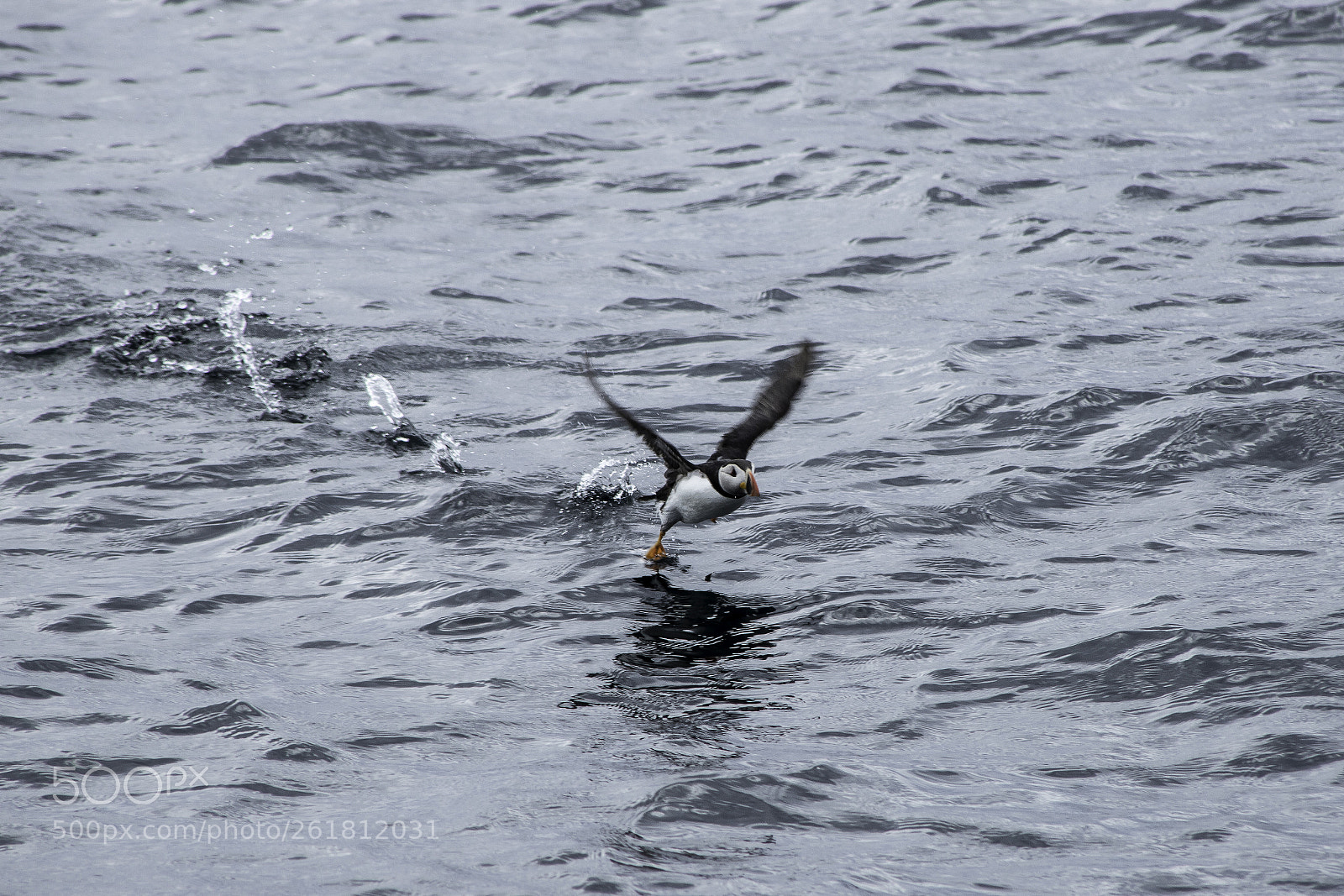 Canon EOS 6D Mark II sample photo. Landing photography