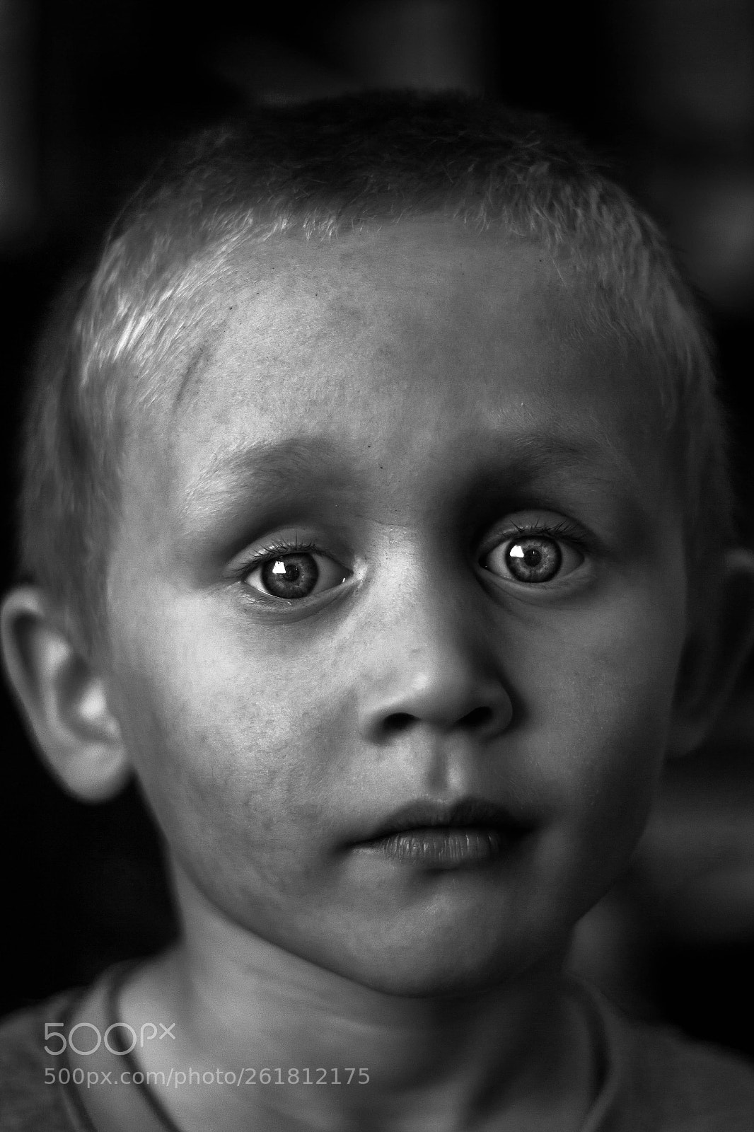 Canon EOS 700D (EOS Rebel T5i / EOS Kiss X7i) sample photo. Dominic photography
