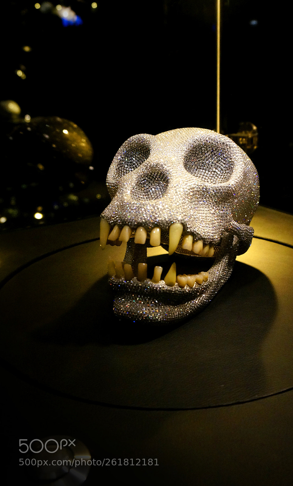 Sony Alpha NEX-6 sample photo. Gorilla's diamond skull photography