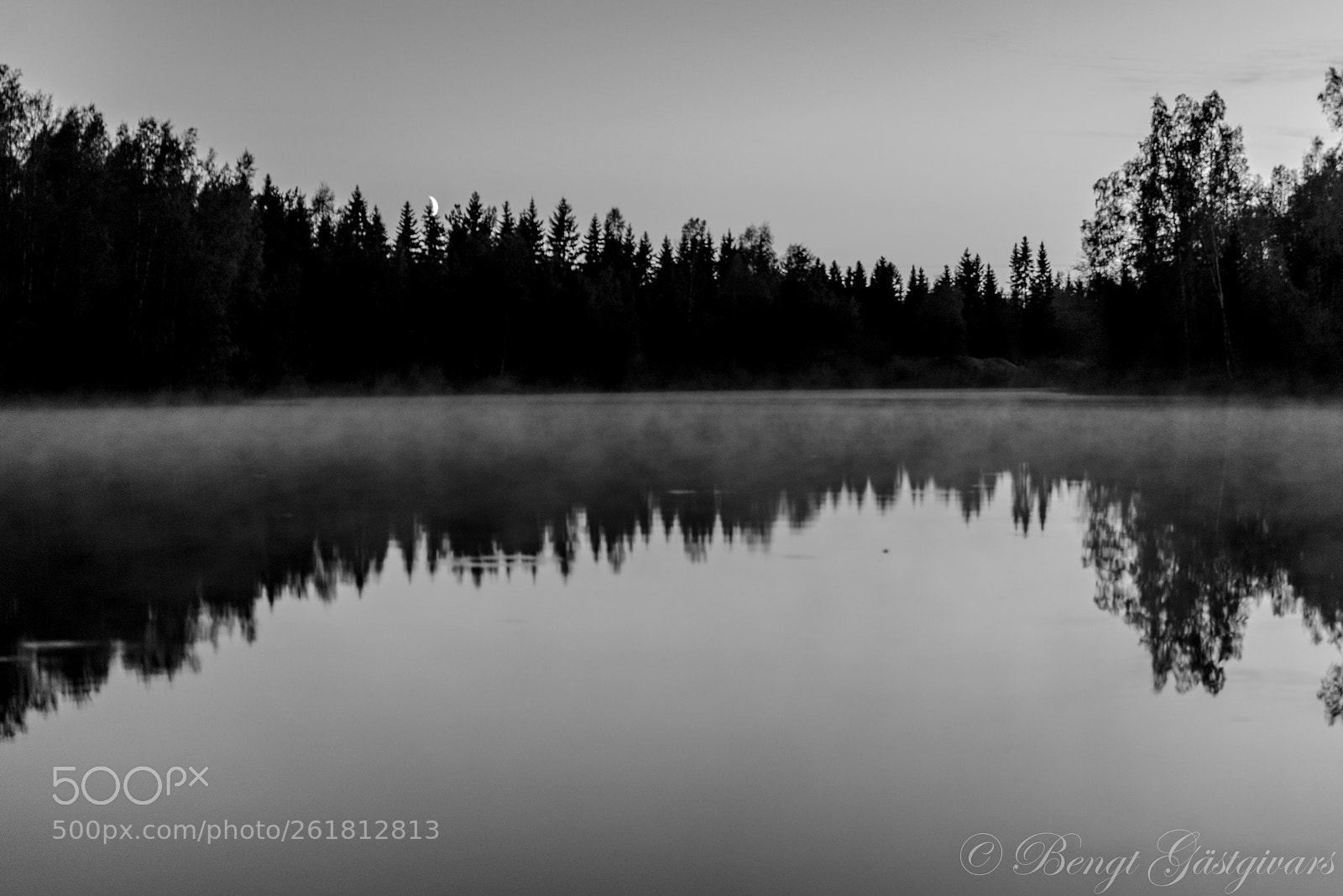 Nikon D750 sample photo. Fog photography