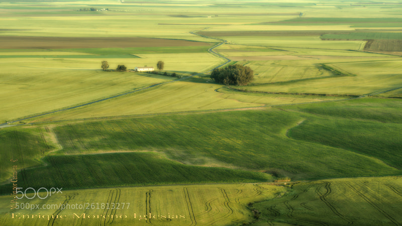 Nikon D610 sample photo. Carmona spain . tarde photography