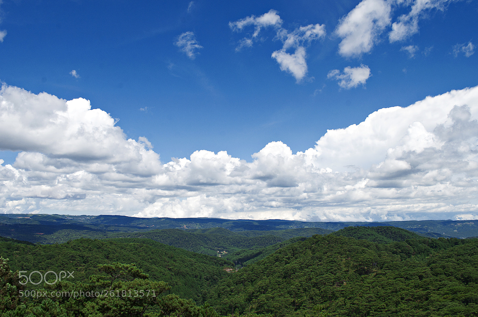 Nikon D90 sample photo. Blue, white and green photography