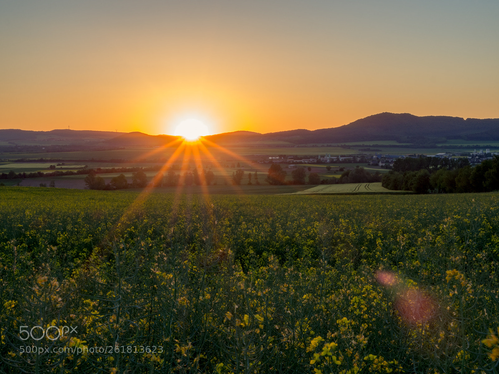 Olympus OM-D E-M10 II sample photo. Sunset kruft photography