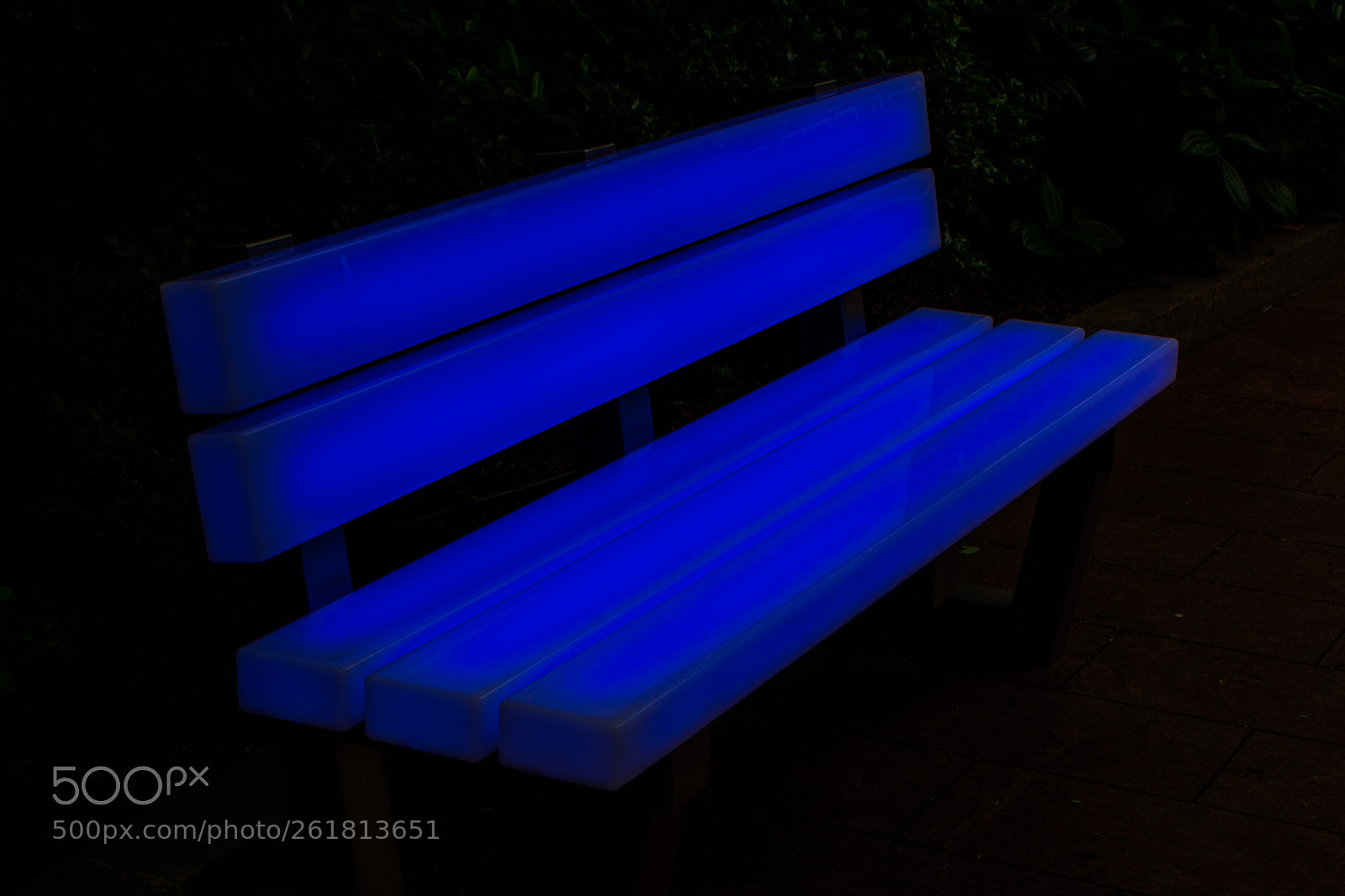 Nikon D7100 sample photo. Another 'kind of blue' photography