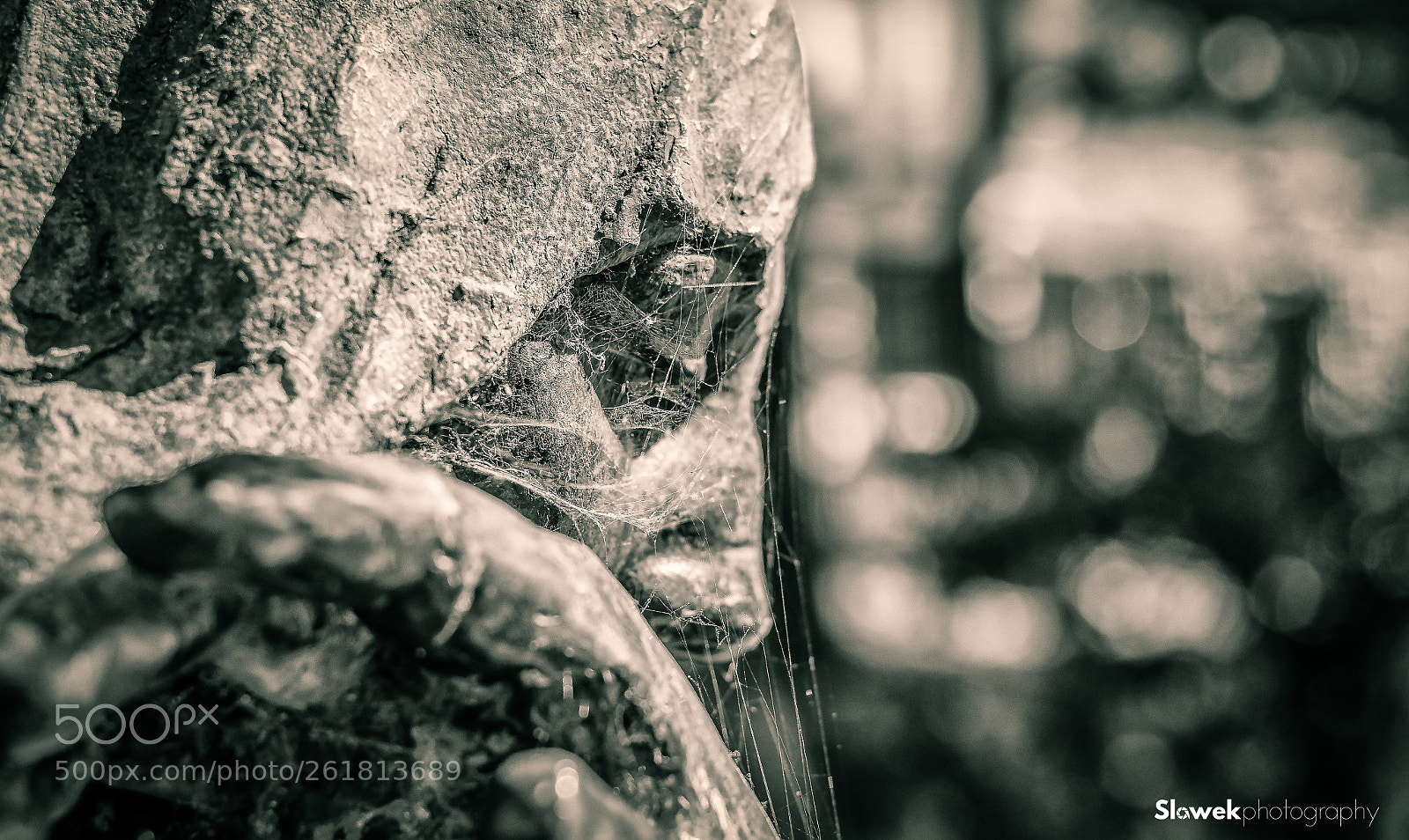 Nikon D7000 sample photo. Intimacy of time photography