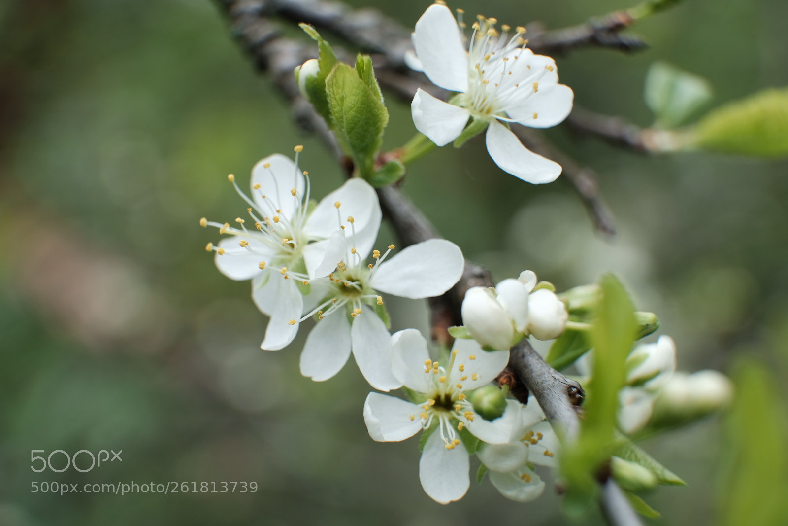 Fujifilm X-T2 sample photo. Untitled photography