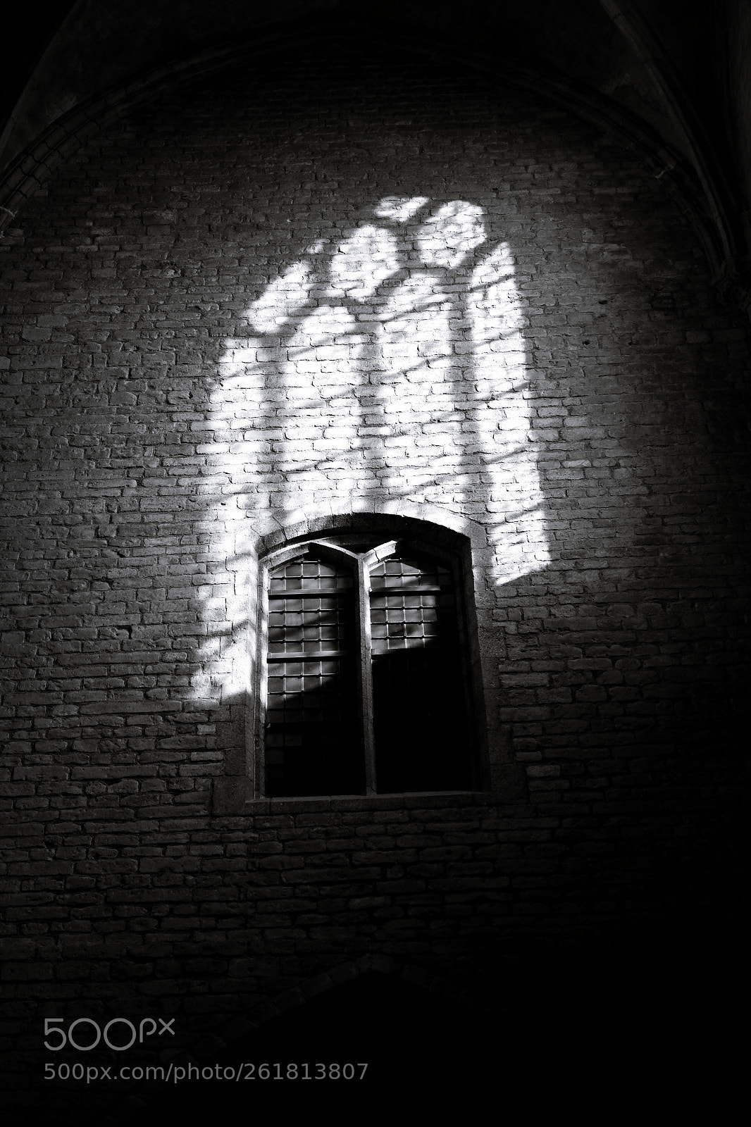 Fujifilm X-T10 sample photo. In comes the light photography