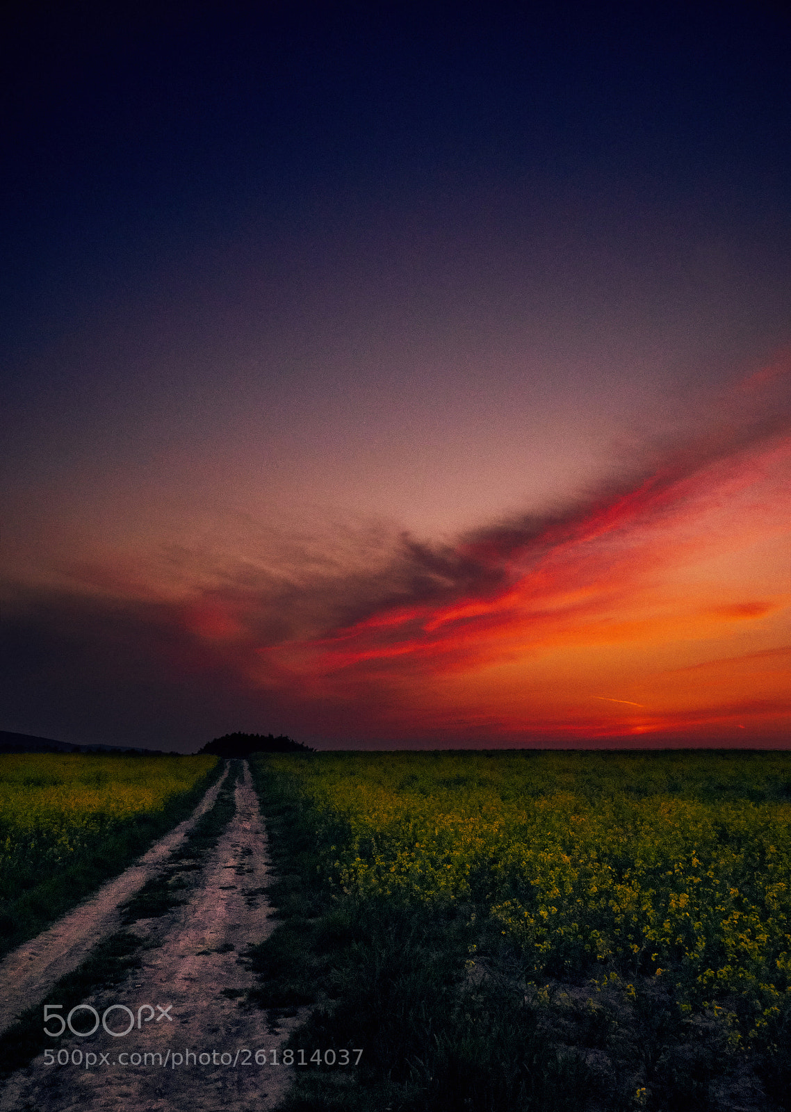 Panasonic Lumix DMC-G7 sample photo. Countryside photography