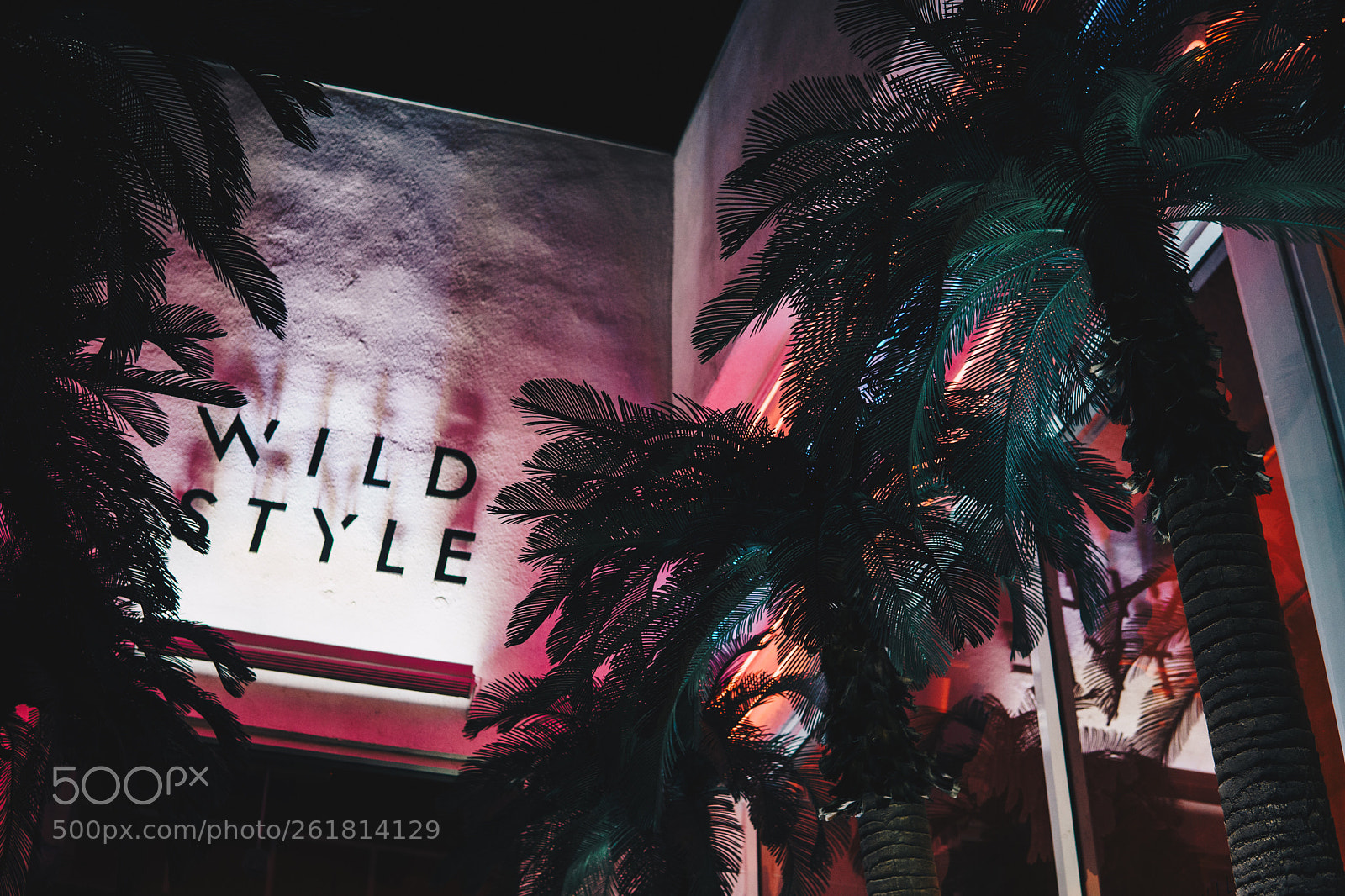 Sony a6000 sample photo. Wild style photography