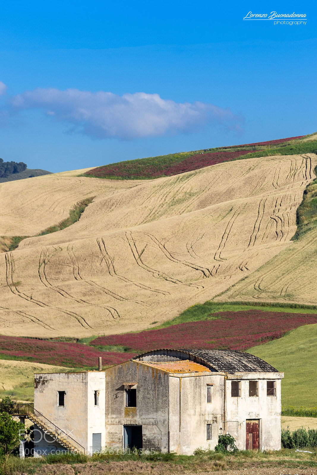 Canon EOS 7D Mark II sample photo. Hill 4 (monreale pa italy) photography