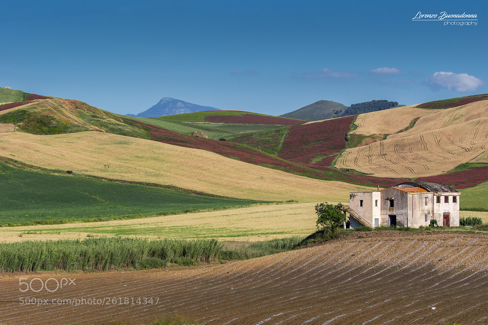 Canon EOS 7D Mark II sample photo. Hill 3 (monreale pa italy) photography