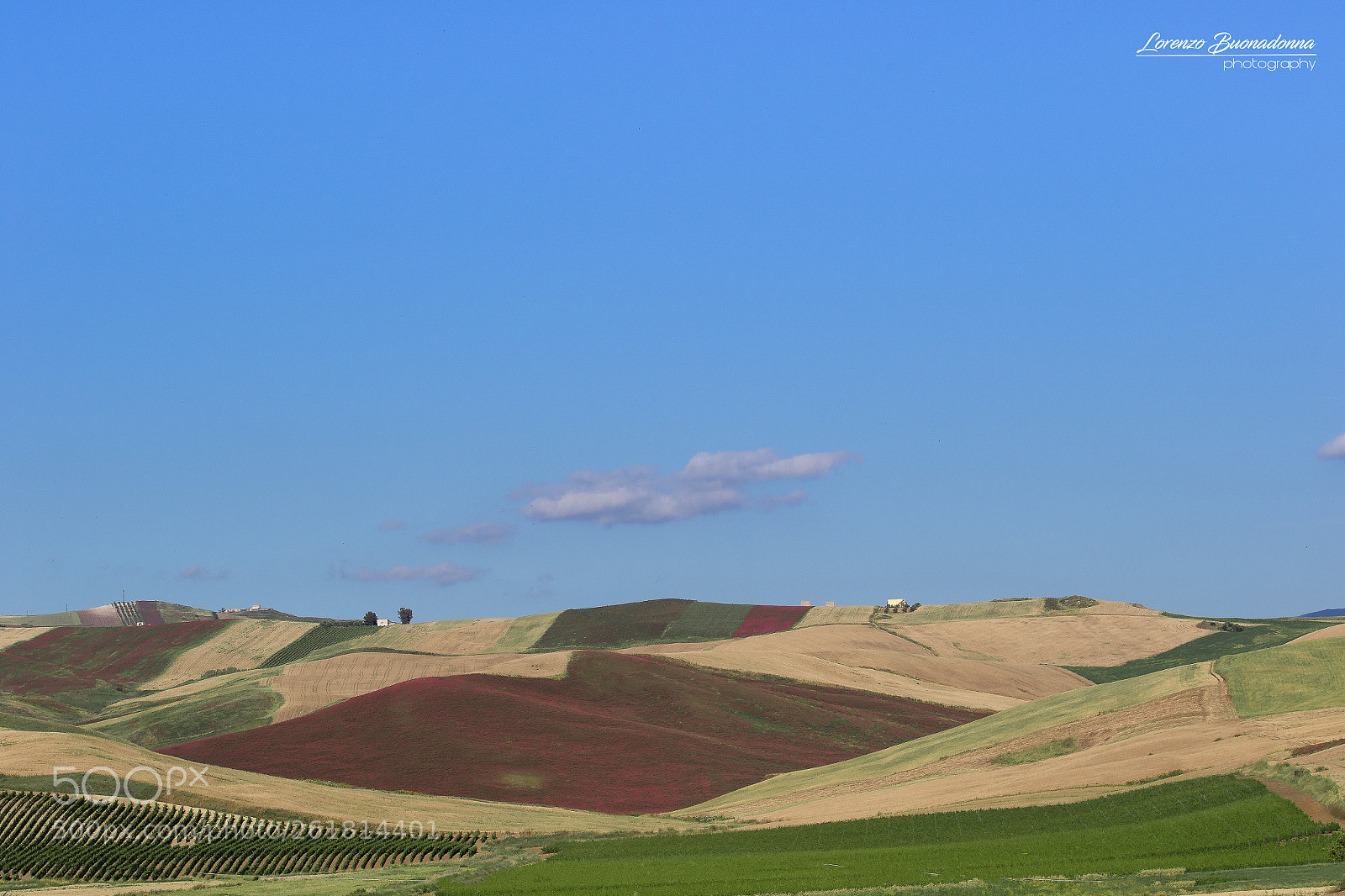 Canon EOS 7D Mark II sample photo. Hill (monreale pa italy) photography