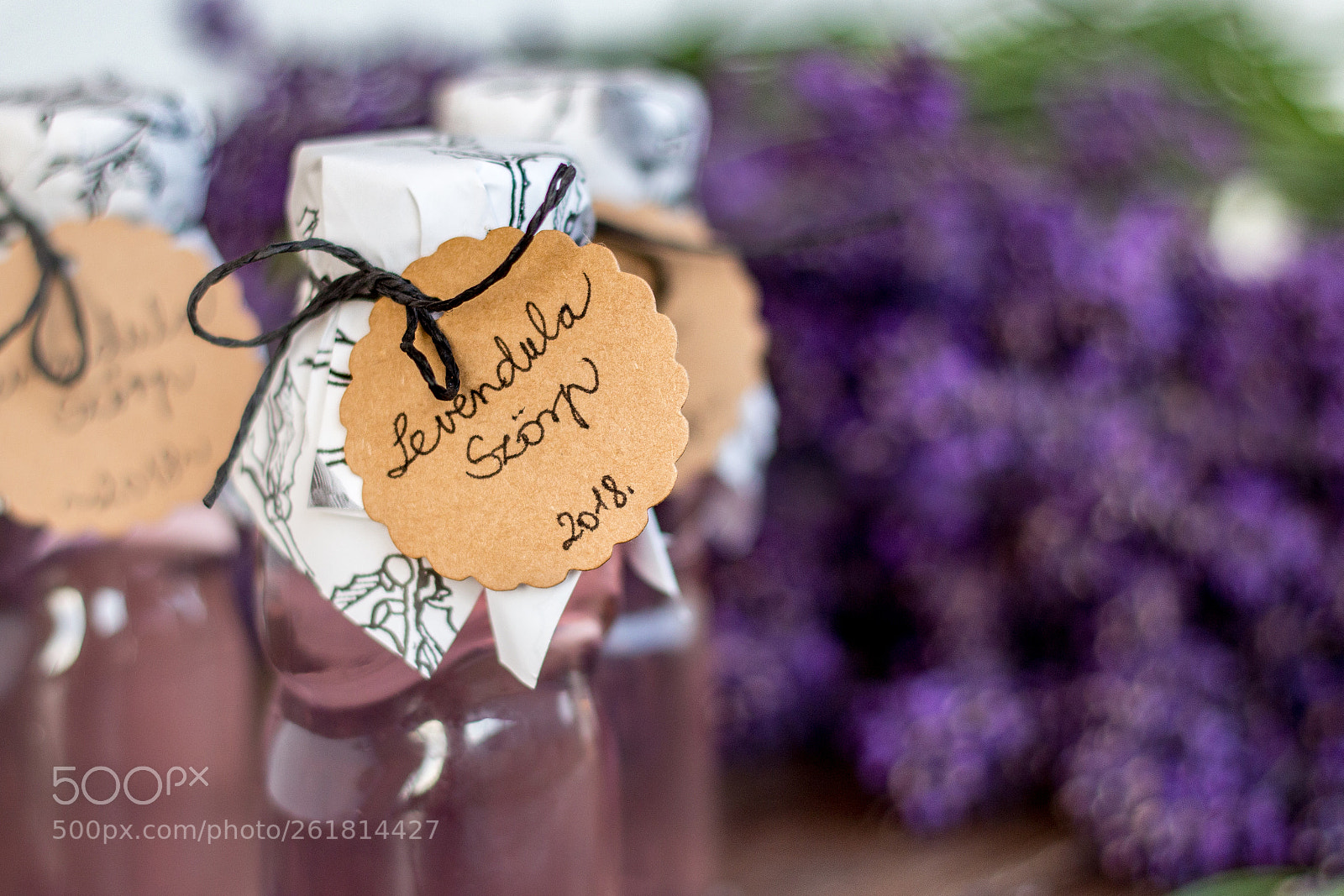 Canon EOS 650D (EOS Rebel T4i / EOS Kiss X6i) sample photo. Lavender bokeh photography