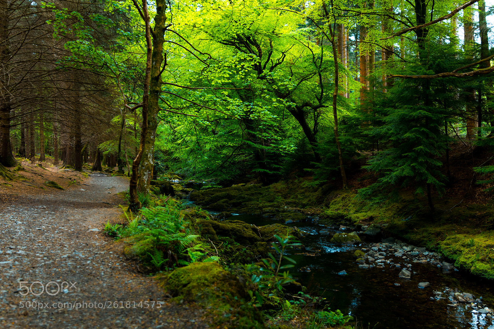 Canon EOS 5D Mark IV sample photo. Ireland photography