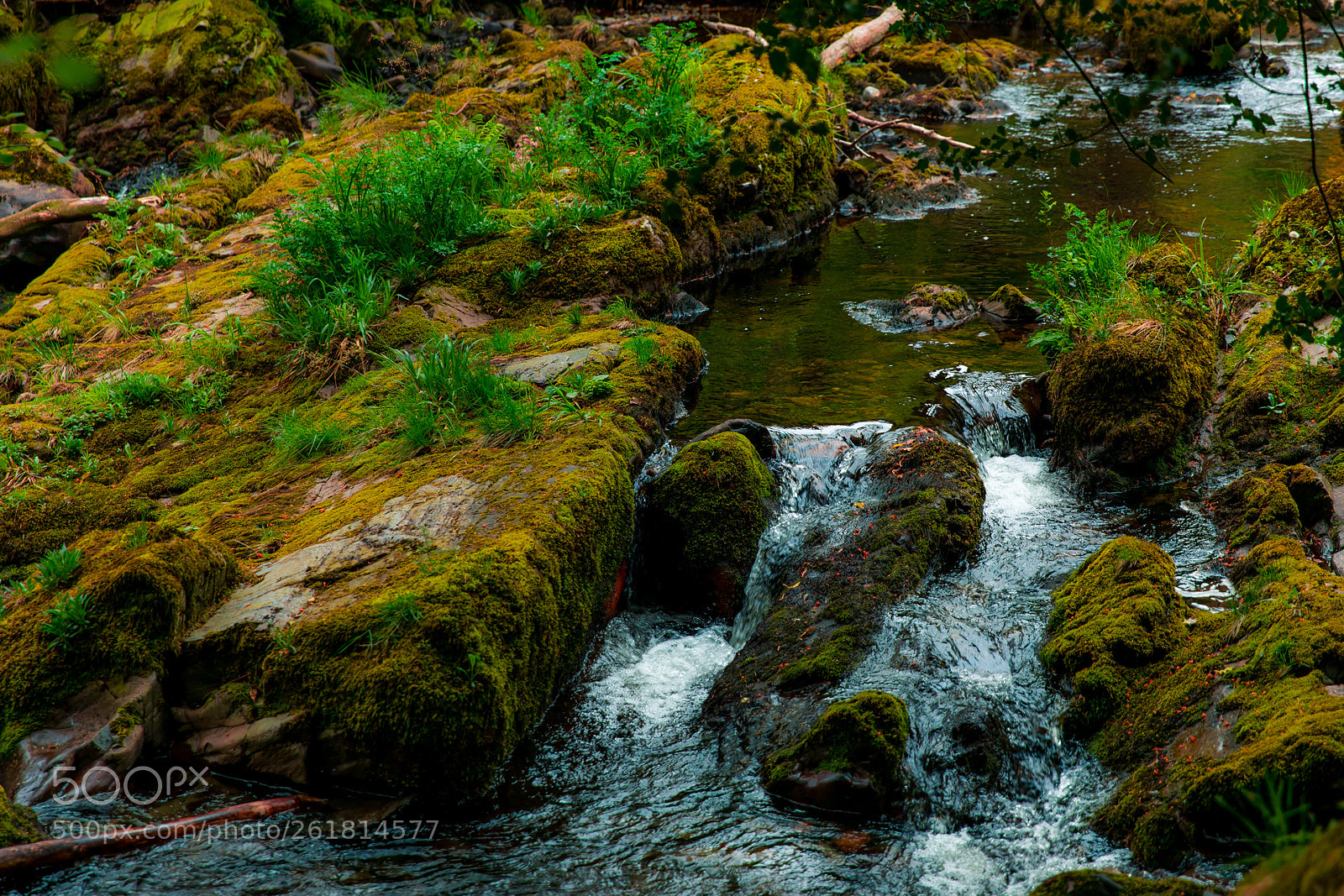 Canon EOS 5D Mark IV sample photo. Ireland photography