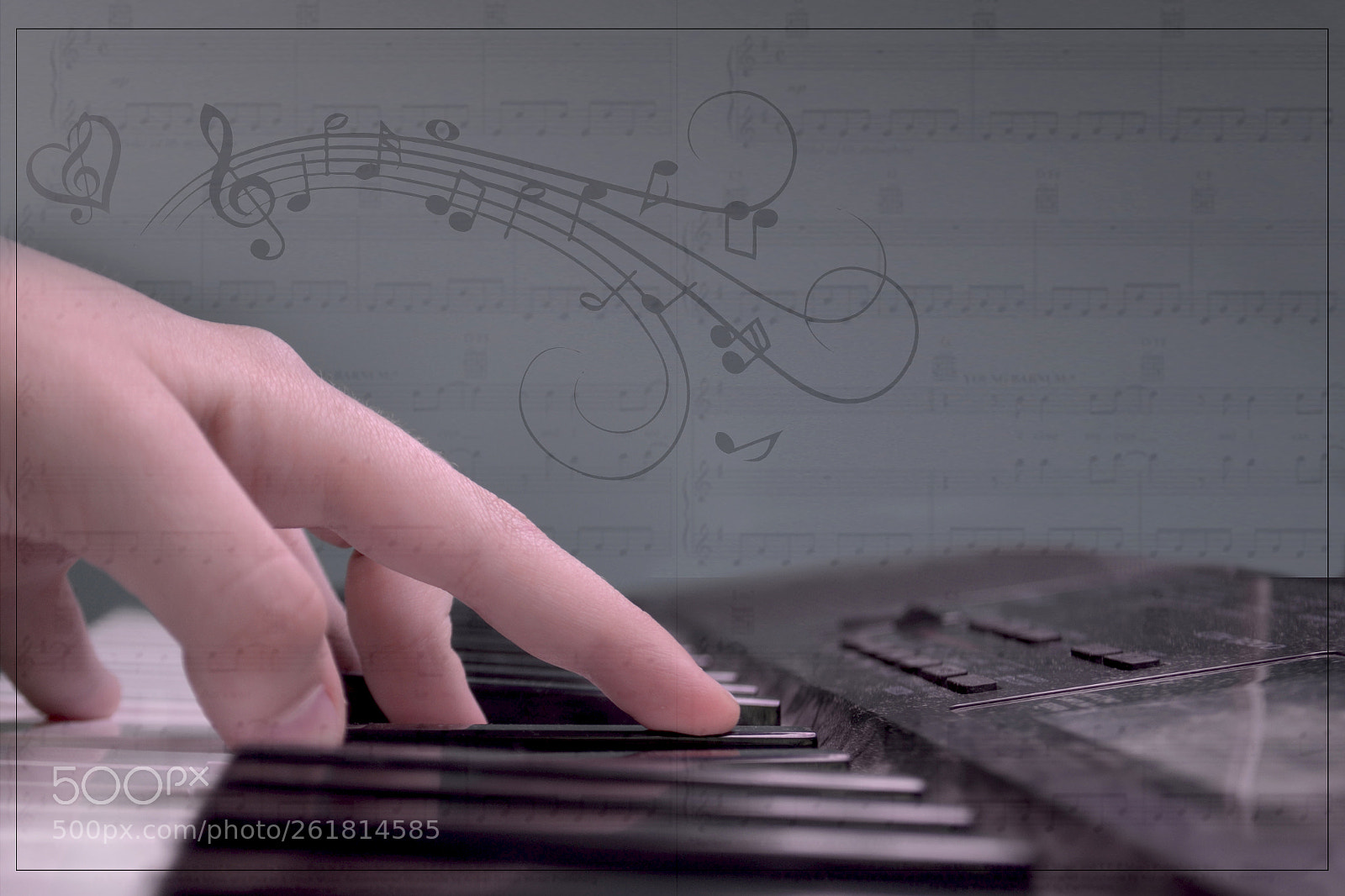 Nikon D3100 sample photo. Music photography
