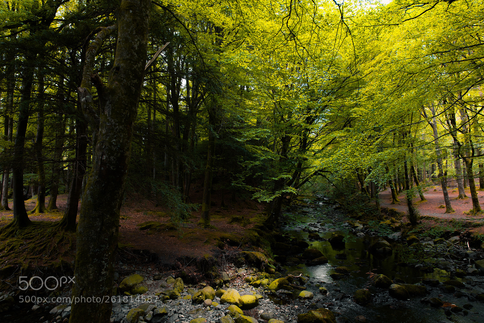 Canon EOS 5D Mark IV sample photo. Ireland photography