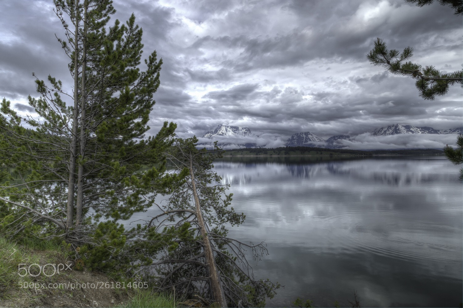Canon EOS 5D Mark IV sample photo. Cloudy morning at jackson photography