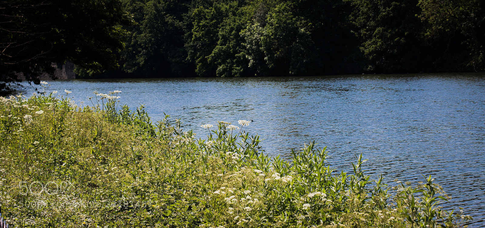 Canon EOS 70D sample photo. A lake photography