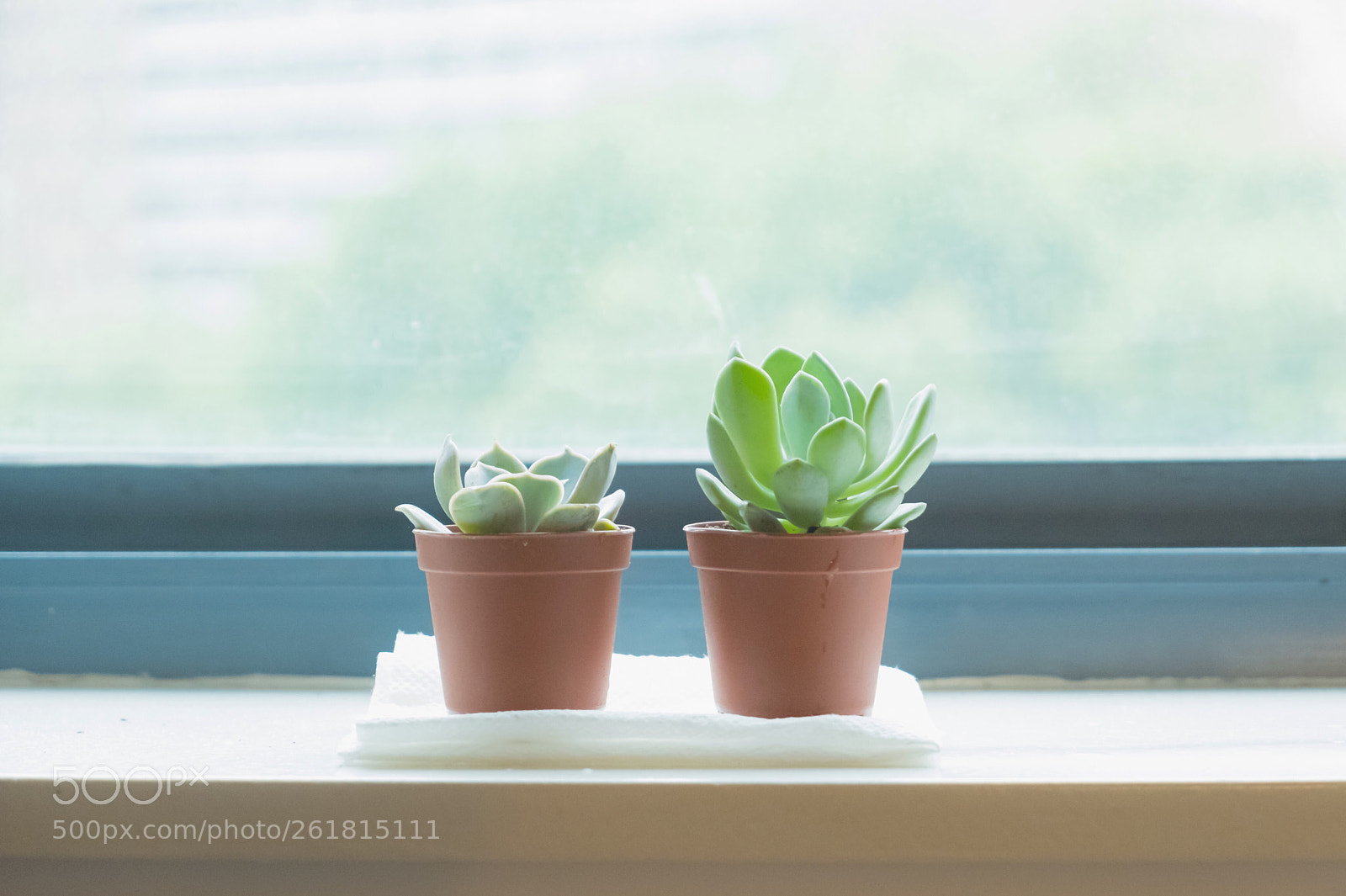 Fujifilm X-T2 sample photo. Untitled photography