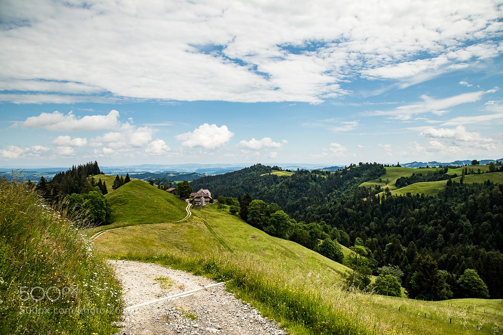 Canon EOS 5D Mark IV sample photo. In the hills of photography