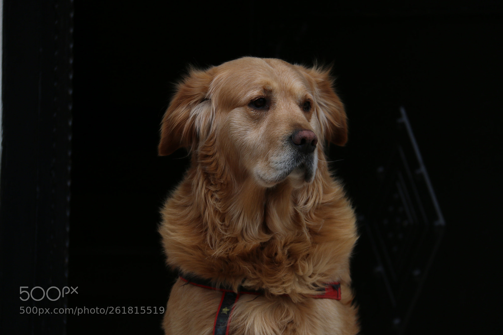 Canon EF-S 18-200mm F3.5-5.6 IS sample photo. Kuzey photography