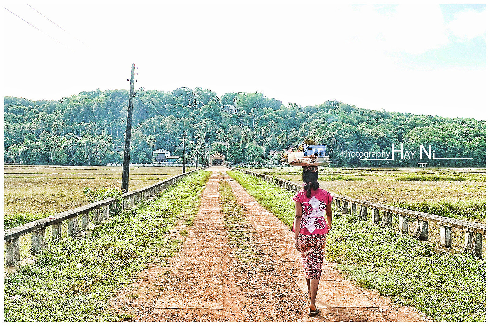 Nikon D90 sample photo. Untitled photography