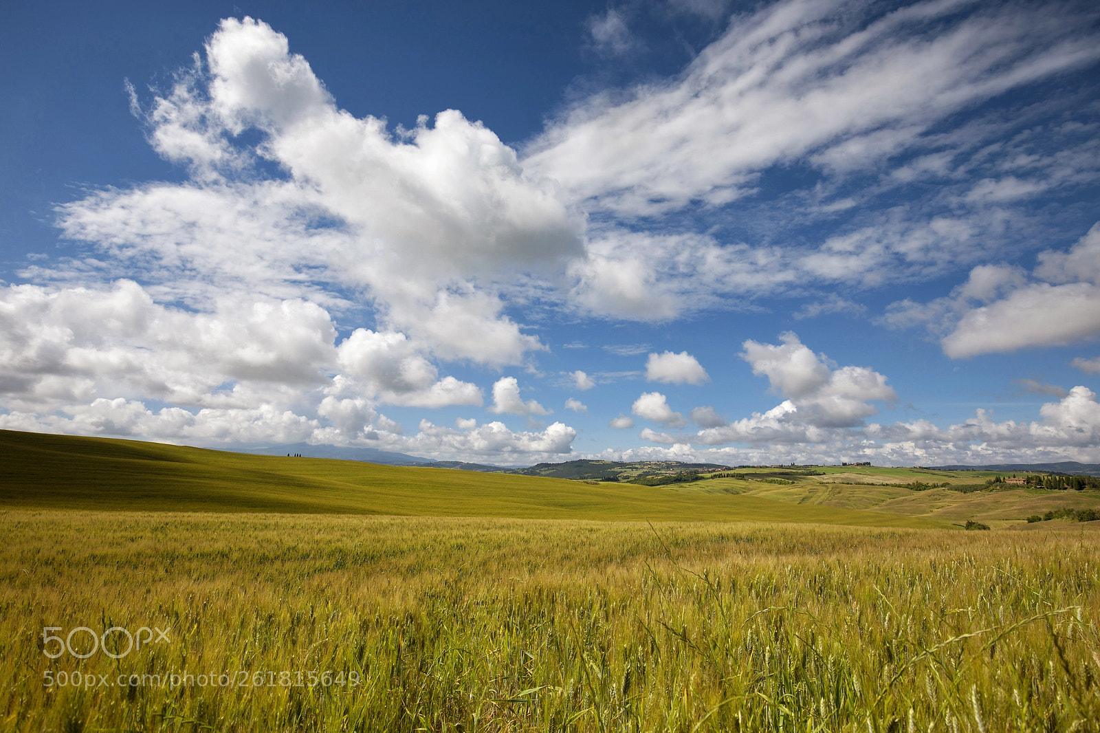 Canon EOS 5D Mark IV sample photo. Tuscan landscapes (2018 - i) photography