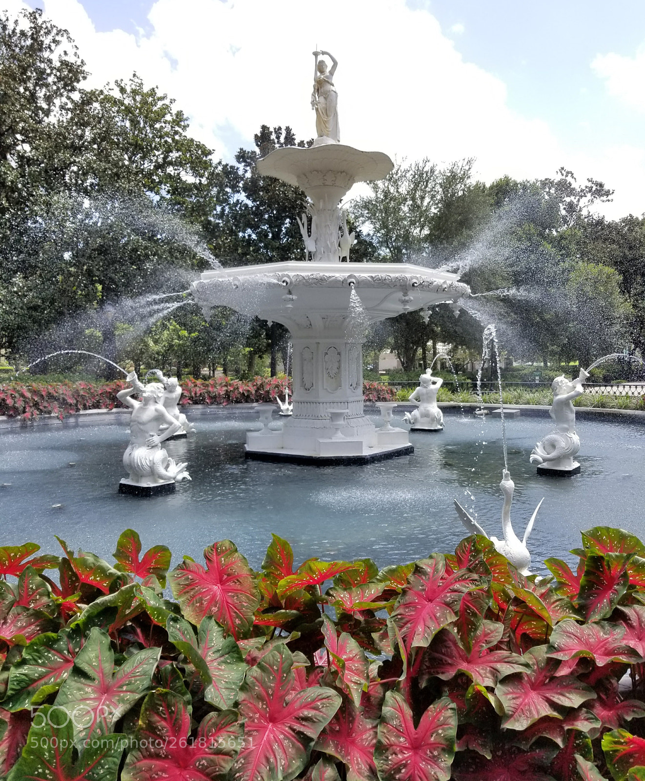 Samsung Galaxy S8 sample photo. Forsyth park photography
