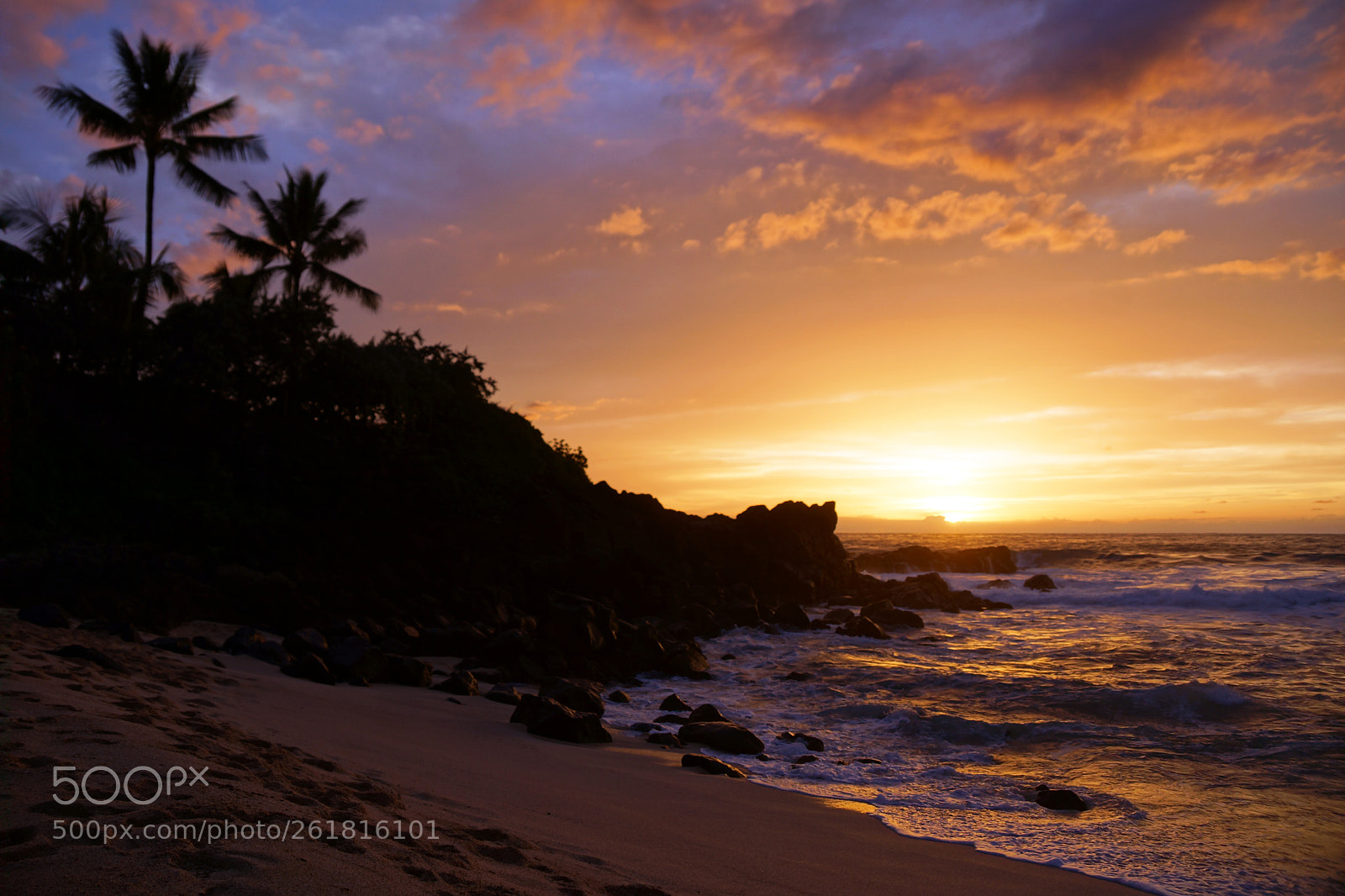 Sony SLT-A77 sample photo. Aloha 'oe photography