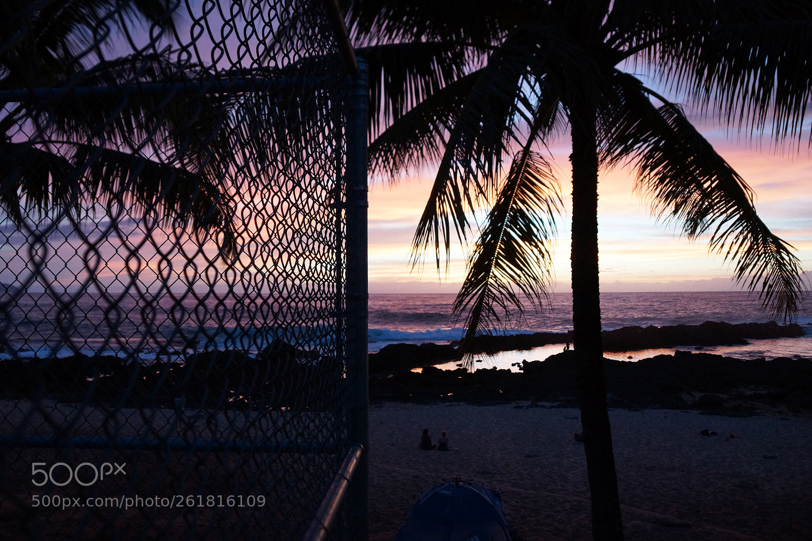 Sony SLT-A77 sample photo. Bball with a view photography