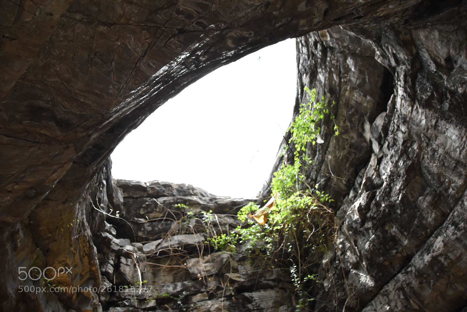 Nikon D5500 sample photo. Belum caves photography