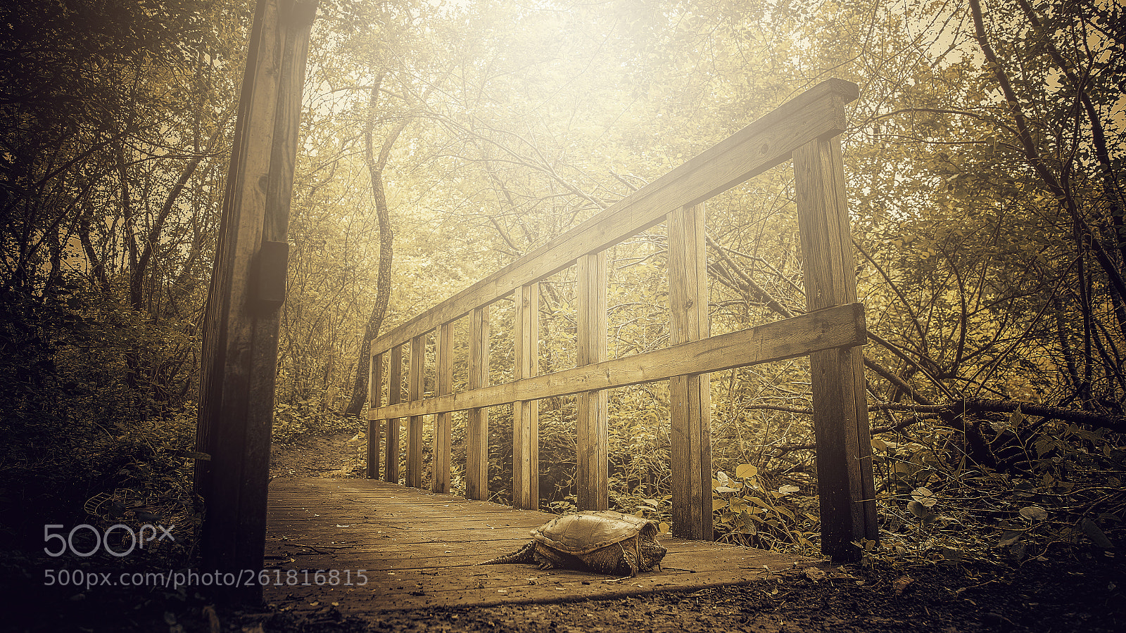 Canon EOS 6D sample photo. Natutoro the bridge keeper photography