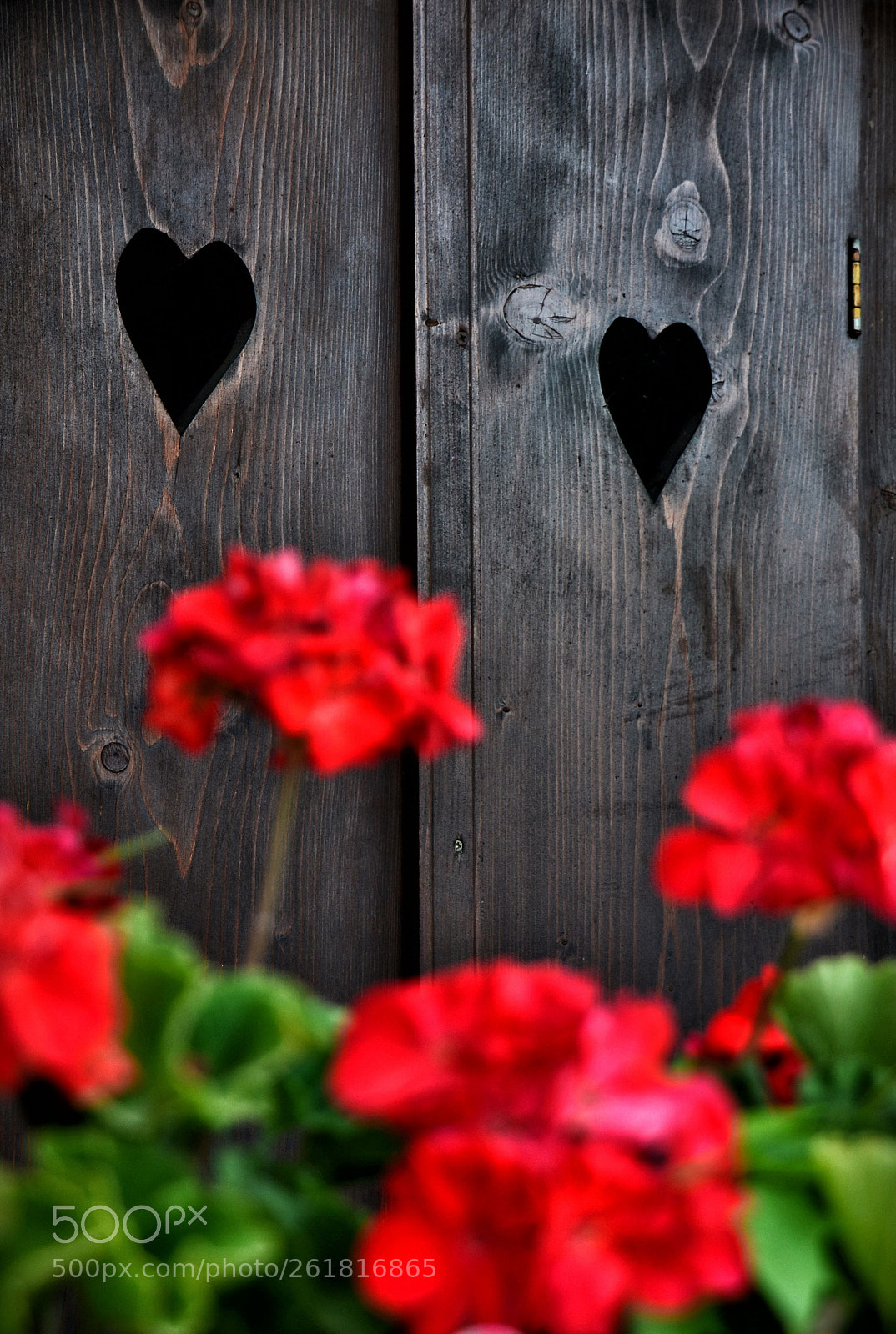 Nikon D3100 sample photo. Hearts photography