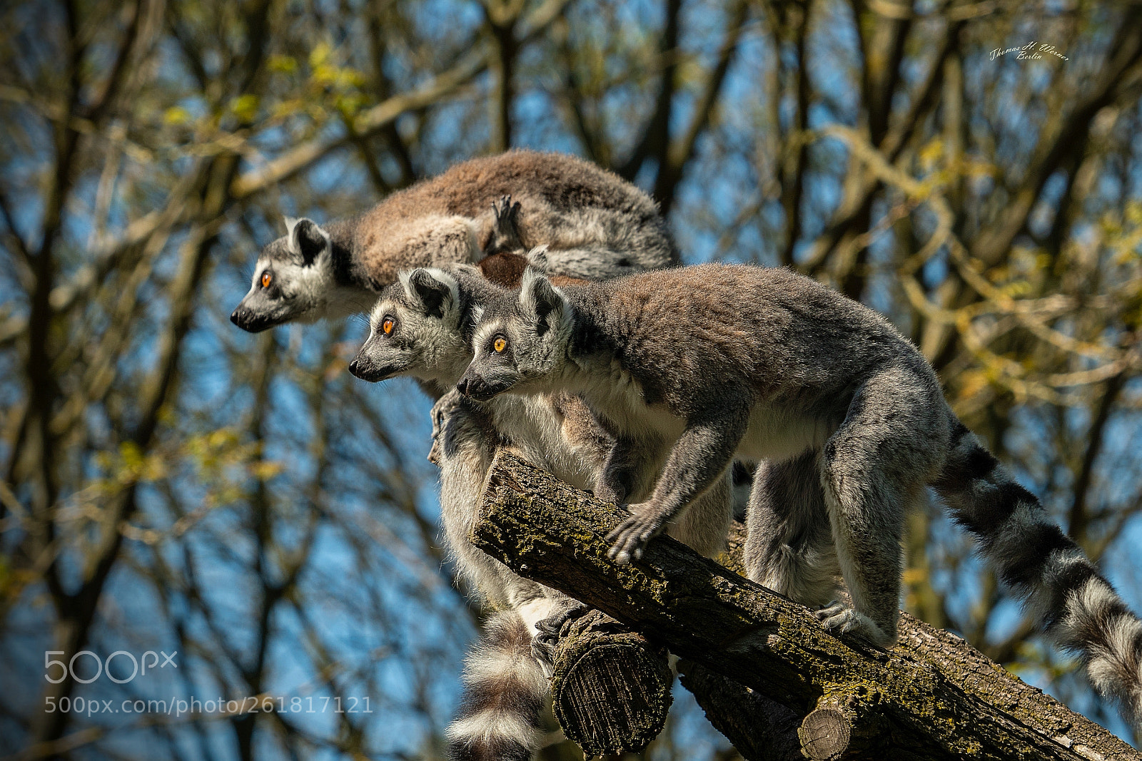 Sony a6500 sample photo. Blickrichtung photography