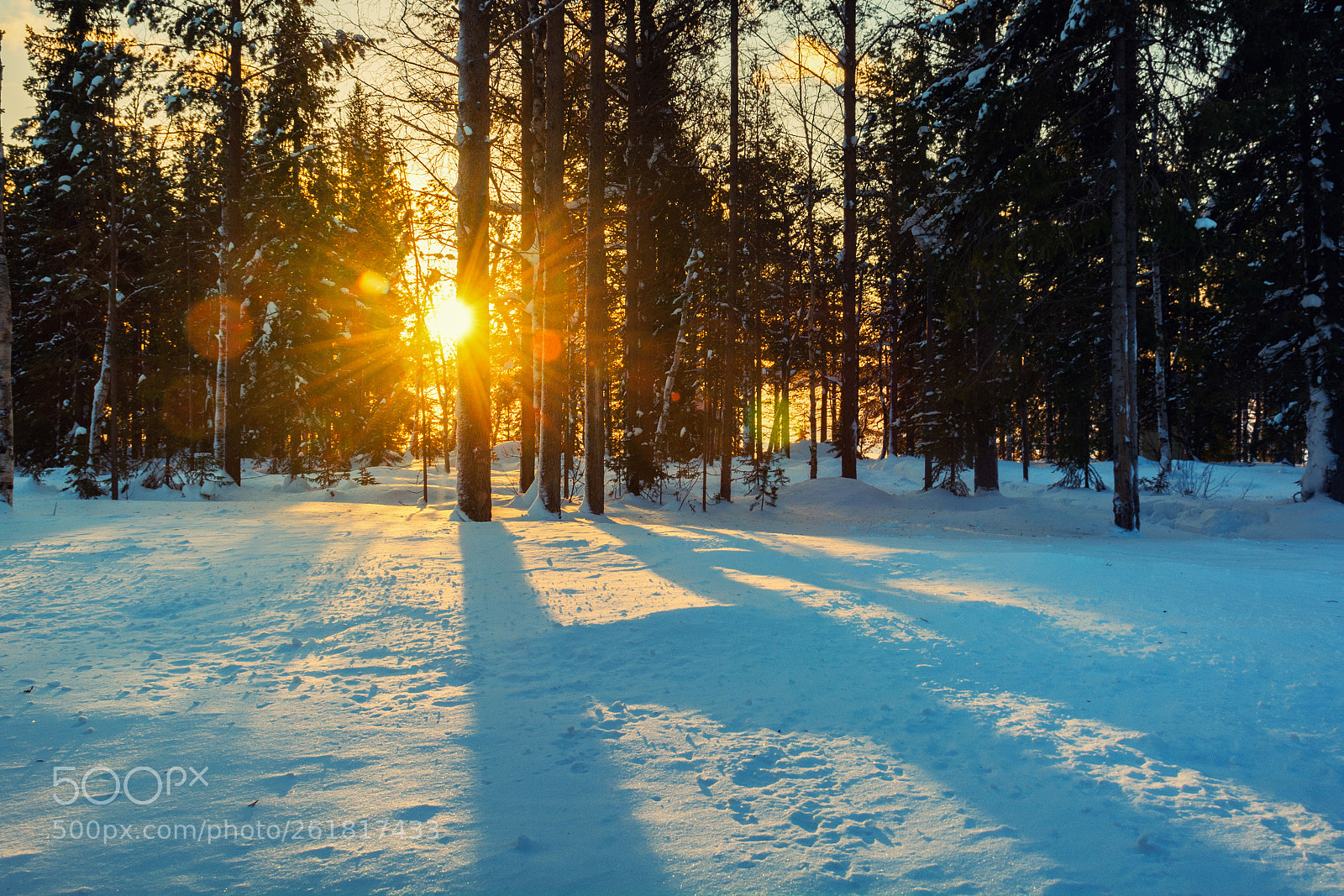 Nikon D7100 sample photo. Sunrise in winter forest photography