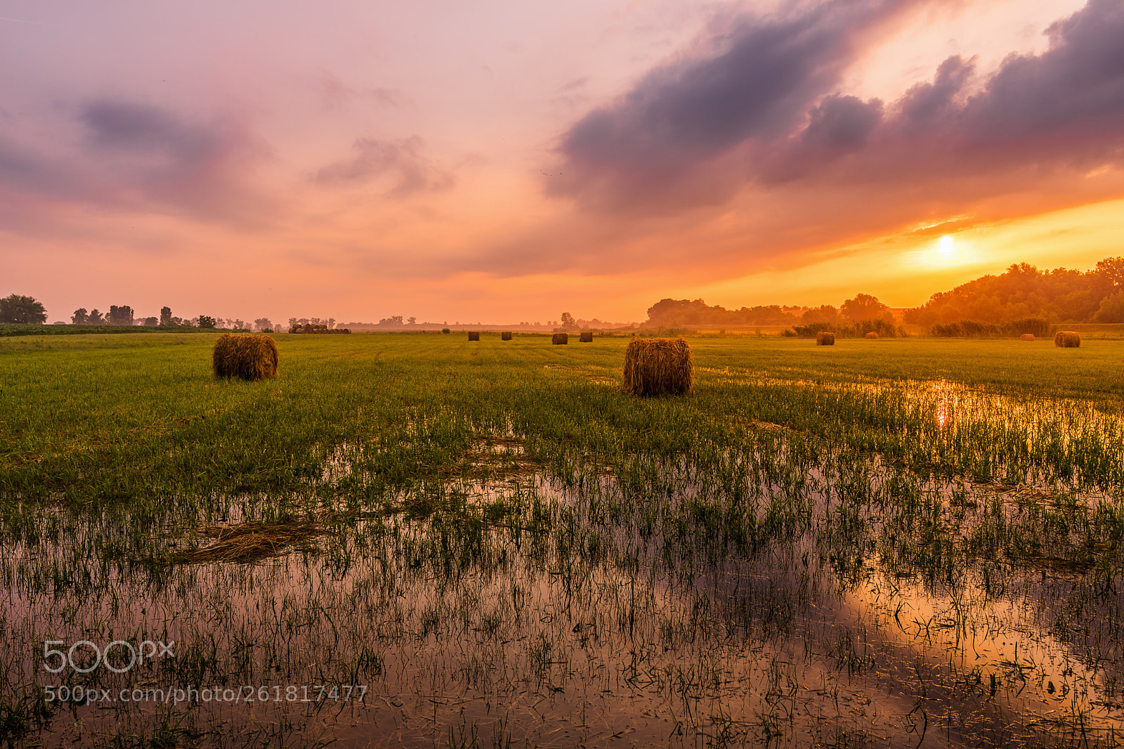 Sony a7 II sample photo. Good morning photography